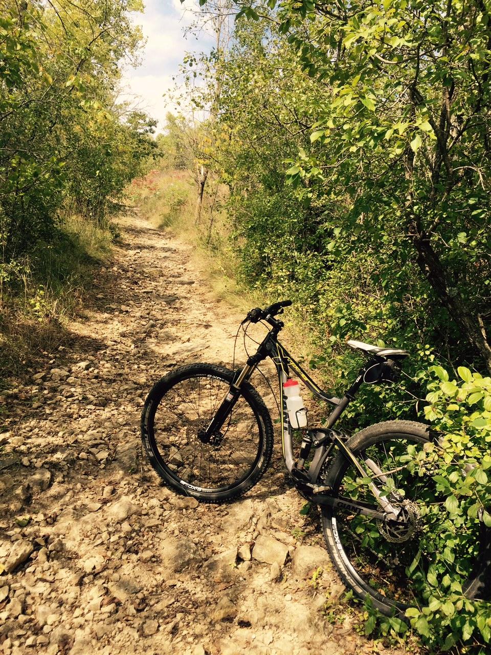 A mountain bike resting on a rocky dirt path surrounded by lush greenery and trees, with a clear blue sky visible above. The scene captures the essence of a peaceful nature trail ideal for cycling. Memorial Park mountain bike trail.