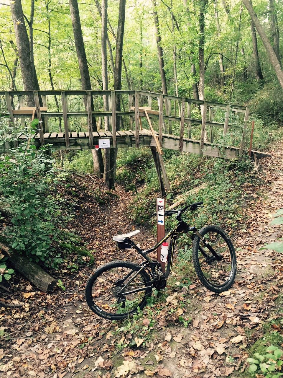 A mountain bike resting on a dirt trail covered in fallen leaves, with a wooden bridge visible in the background. The scene is surrounded by dense green trees, creating a natural, wooded environment. Trail markers are visible near the bike, indicating different paths. Memorial Park mountain bike trail.