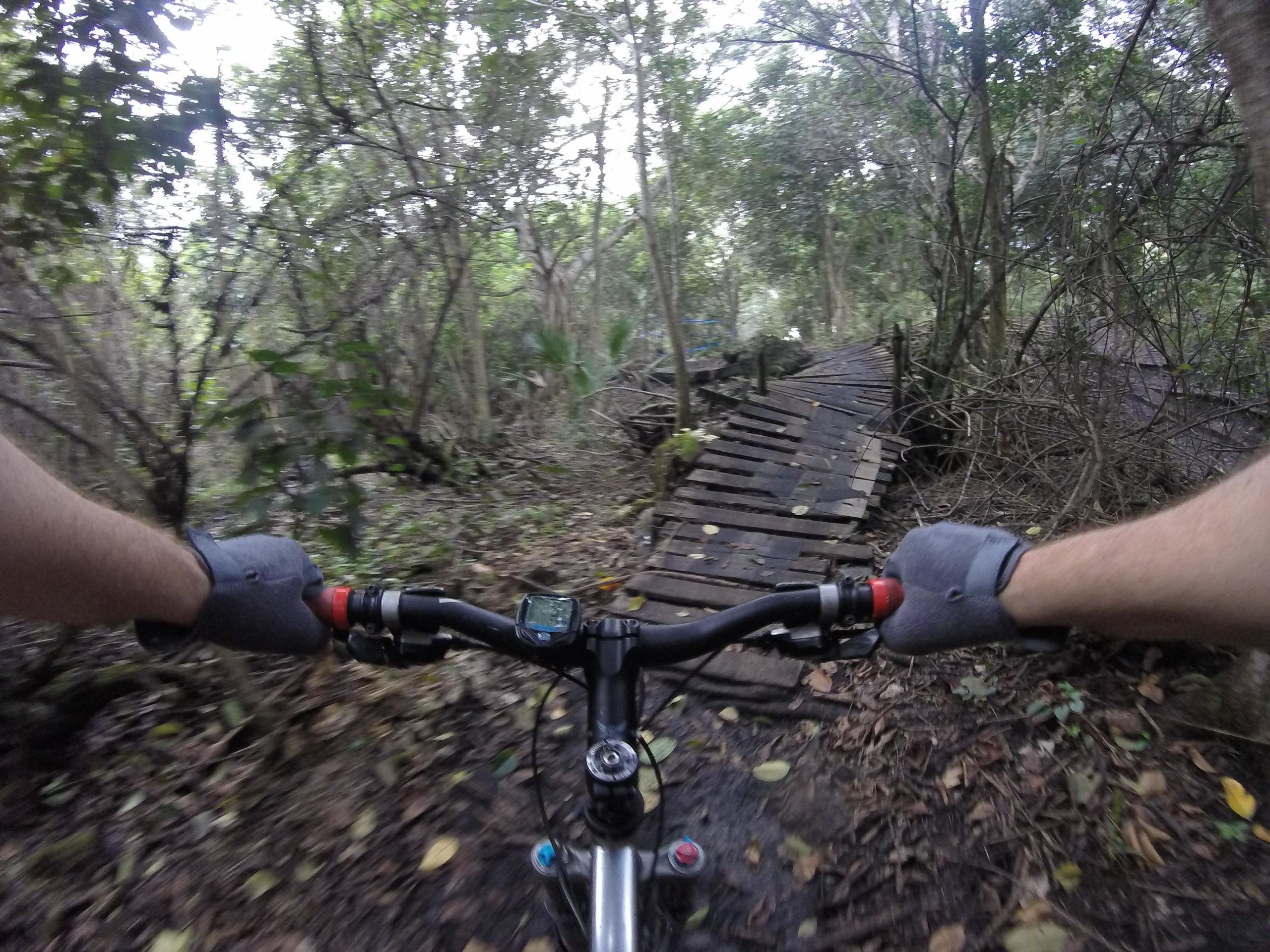 Alt text: A cyclist's view while riding a mountain bike through a dense forest, navigating a narrow wooden bridge surrounded by lush greenery and fallen leaves. The handlebars and gloved hands of the rider are visible in the foreground. Markham Park mountain bike trail.