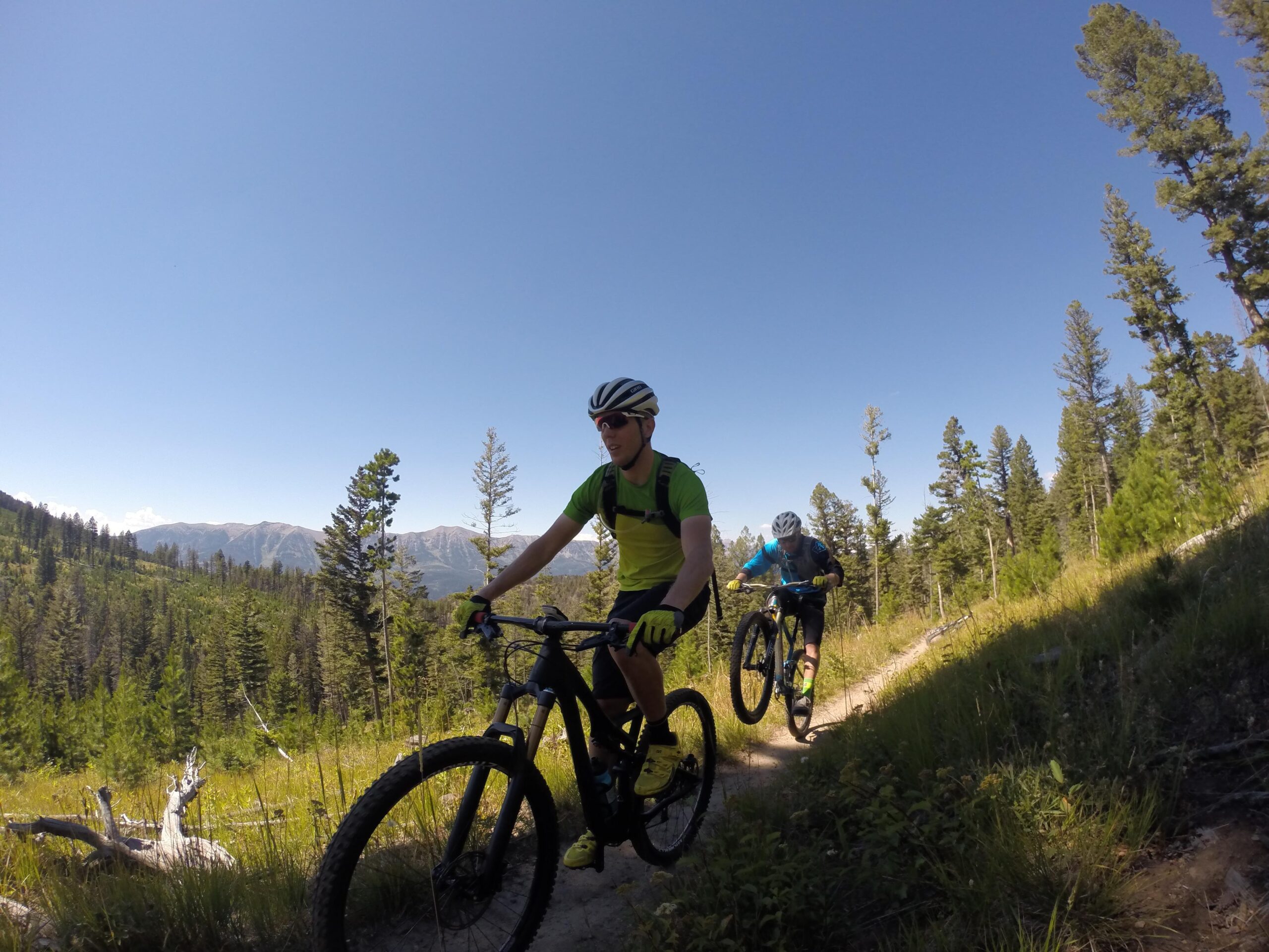 Two mountain bikers riding on a dirt trail in a forested area. One rider, wearing a green shirt and helmet, is slightly ahead of the other, who is wearing a blue shirt. Lush greenery surrounds the path, with trees in the background and mountains visible in the distance under a clear blue sky. Bangtail Divide mountain bike trail.