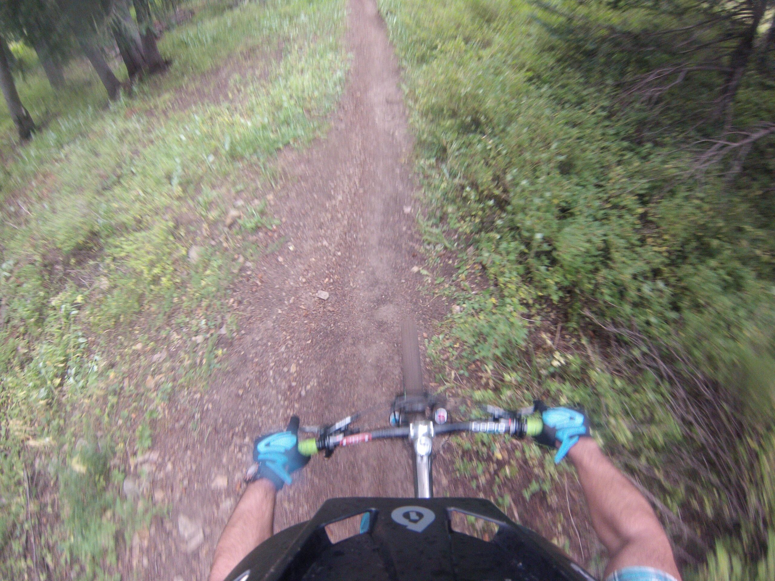 A cyclist's perspective while riding on a dirt trail surrounded by lush greenery and trees. The handlebars and gloves are visible, emphasizing the action of mountain biking in a natural environment. The Whole Enchilada mountain bike trail.