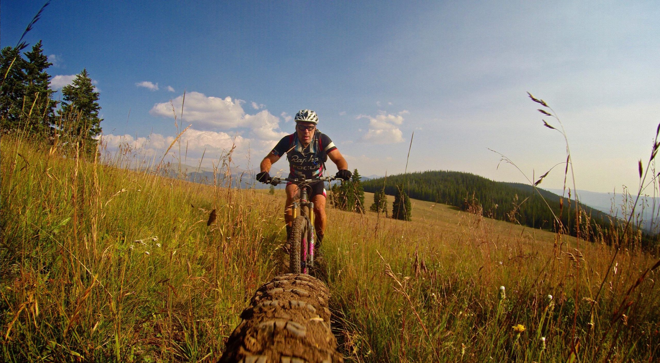 A mountain biker riding along a dirt trail surrounded by tall grass and wildflowers, with a clear blue sky and distant mountains in the background. The biker is focused, wearing a helmet and cycling gear. Doctor Park mountain bike trail.