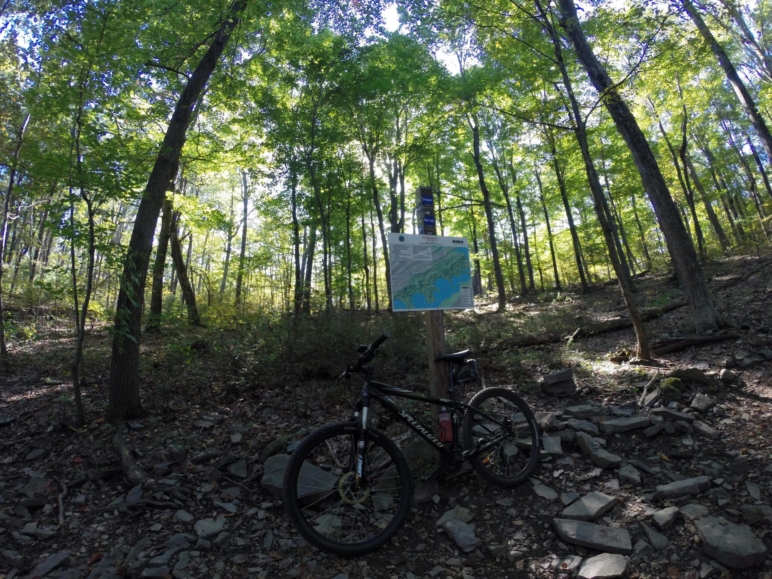 A mountain bike resting beside a trail map in a lush, green forest, with sunlight filtering through the trees and highlighting the rocky terrain. Allegrippis Trails mountain bike trail.