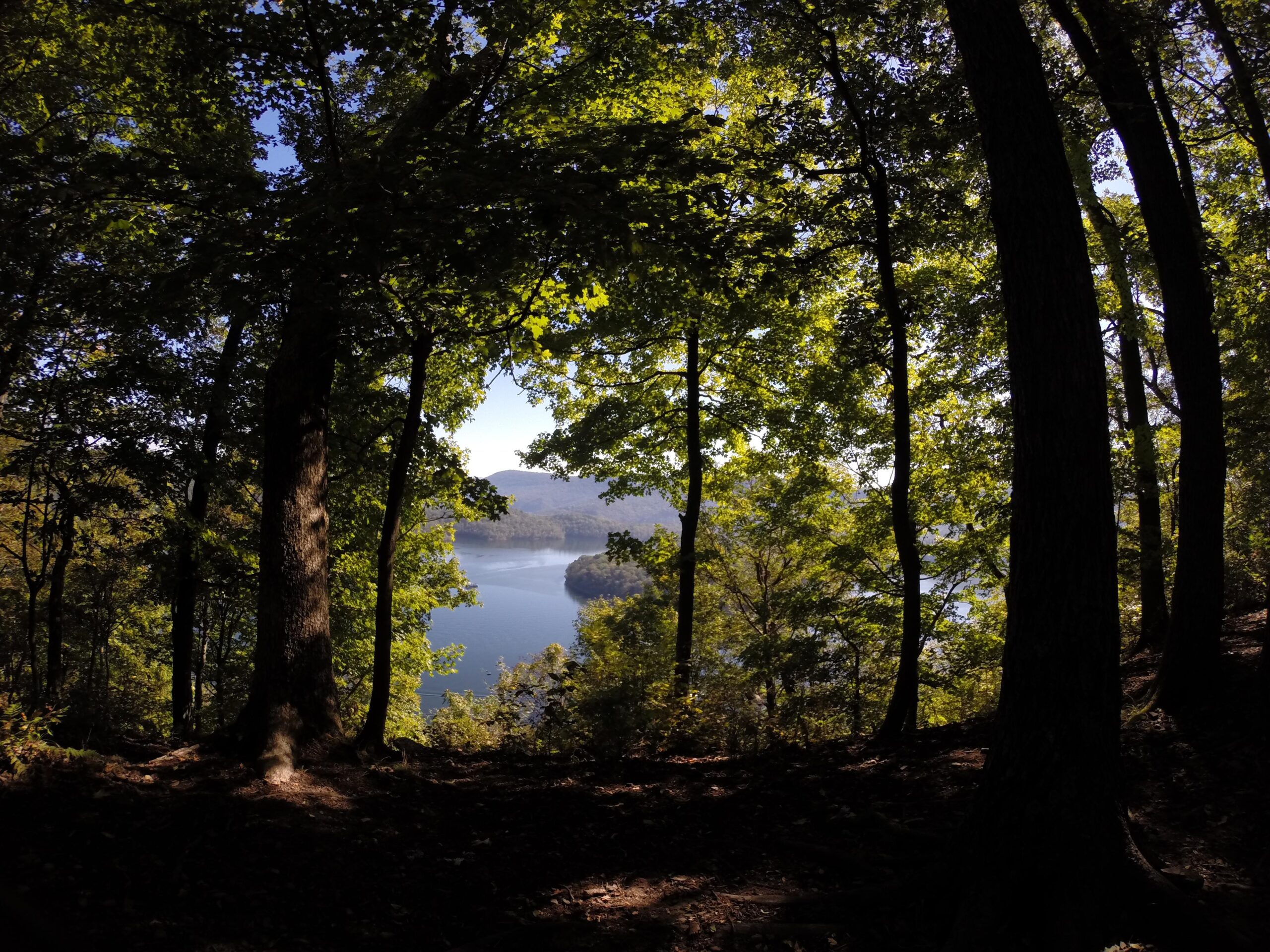 A serene view of a lake framed by tall trees and lush greenery in a forest, with gentle hills visible in the background under a clear blue sky. Allegrippis Trails mountain bike trail.