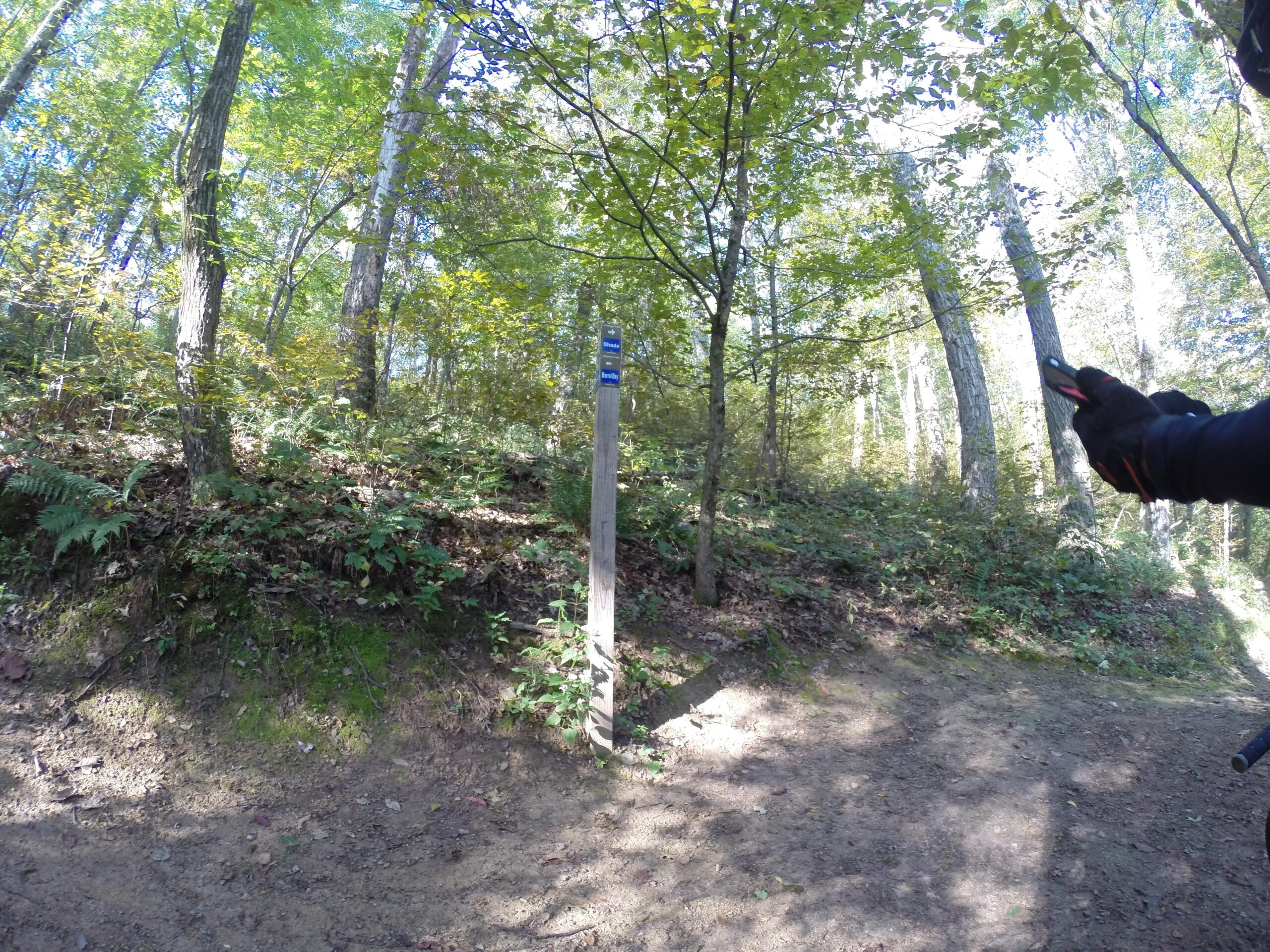 A wooded trail scene with a signpost indicating the trail route, surrounded by lush green foliage and trees in a sunny environment. A person's hand, wearing gloves and holding a smartphone, is visible in the foreground. Allegrippis Trails mountain bike trail.