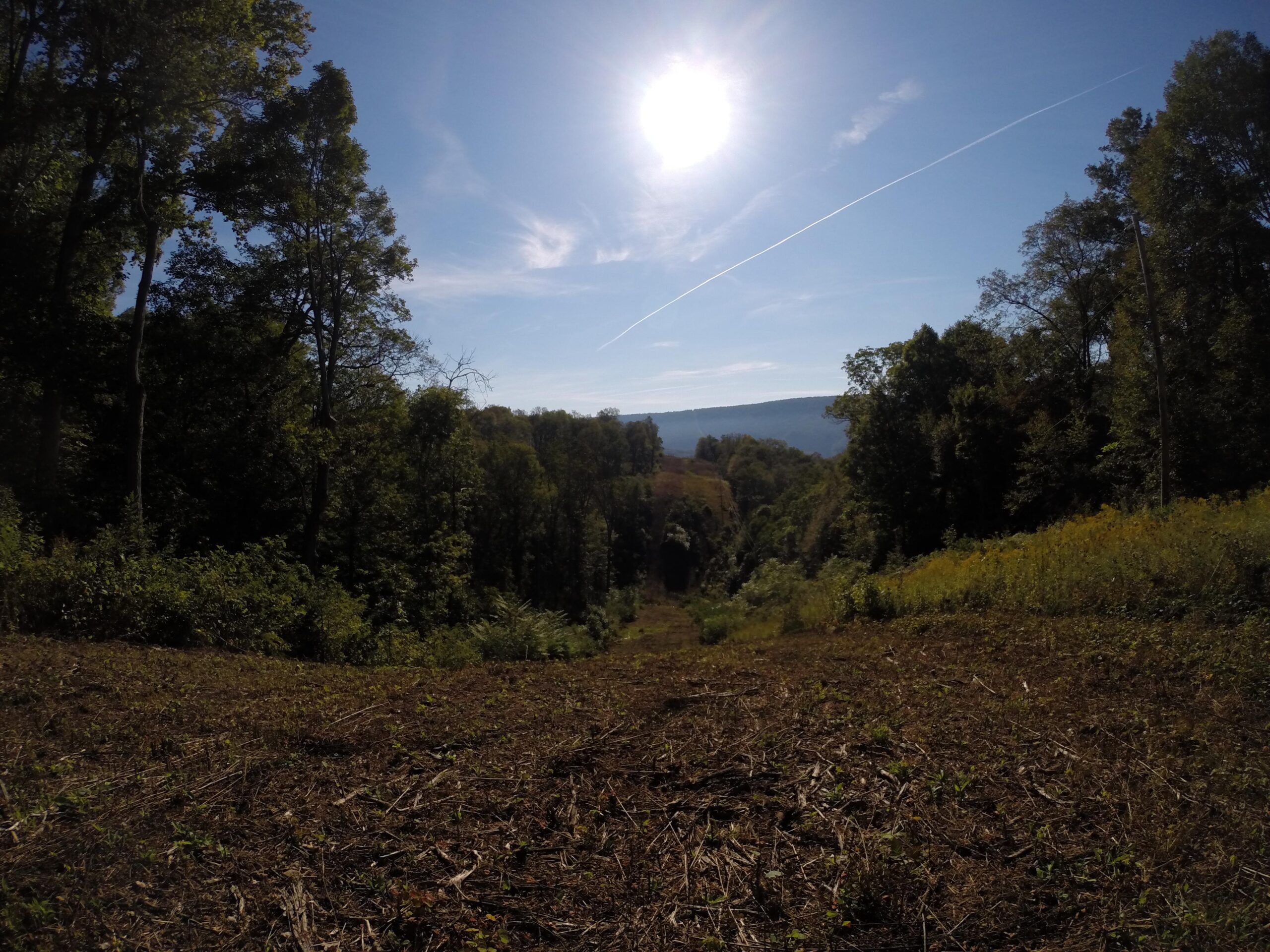 A scenic view of a wooded area with a clearing in the foreground, leading down towards a valley. The sun shines brightly in a clear blue sky, casting light over lush green trees on either side. Faint clouds are visible, and a slight haze can be seen over the distant hills. Allegrippis Trails mountain bike trail.