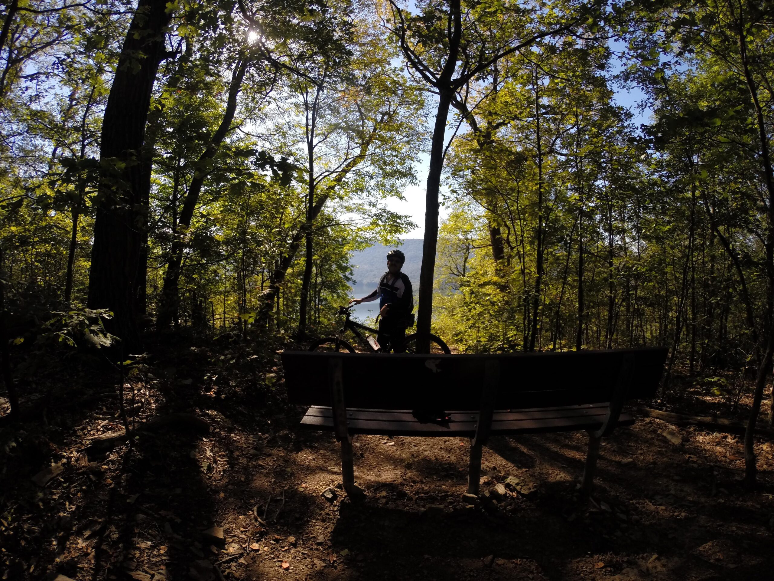 A person stands next to a bicycle on a wooden bench in a forested area, surrounded by tall trees and dappled sunlight filtering through the leaves. In the background, a view of distant hills is visible through the trees. The scene evokes a sense of tranquility and adventure in nature. Allegrippis Trails mountain bike trail.
