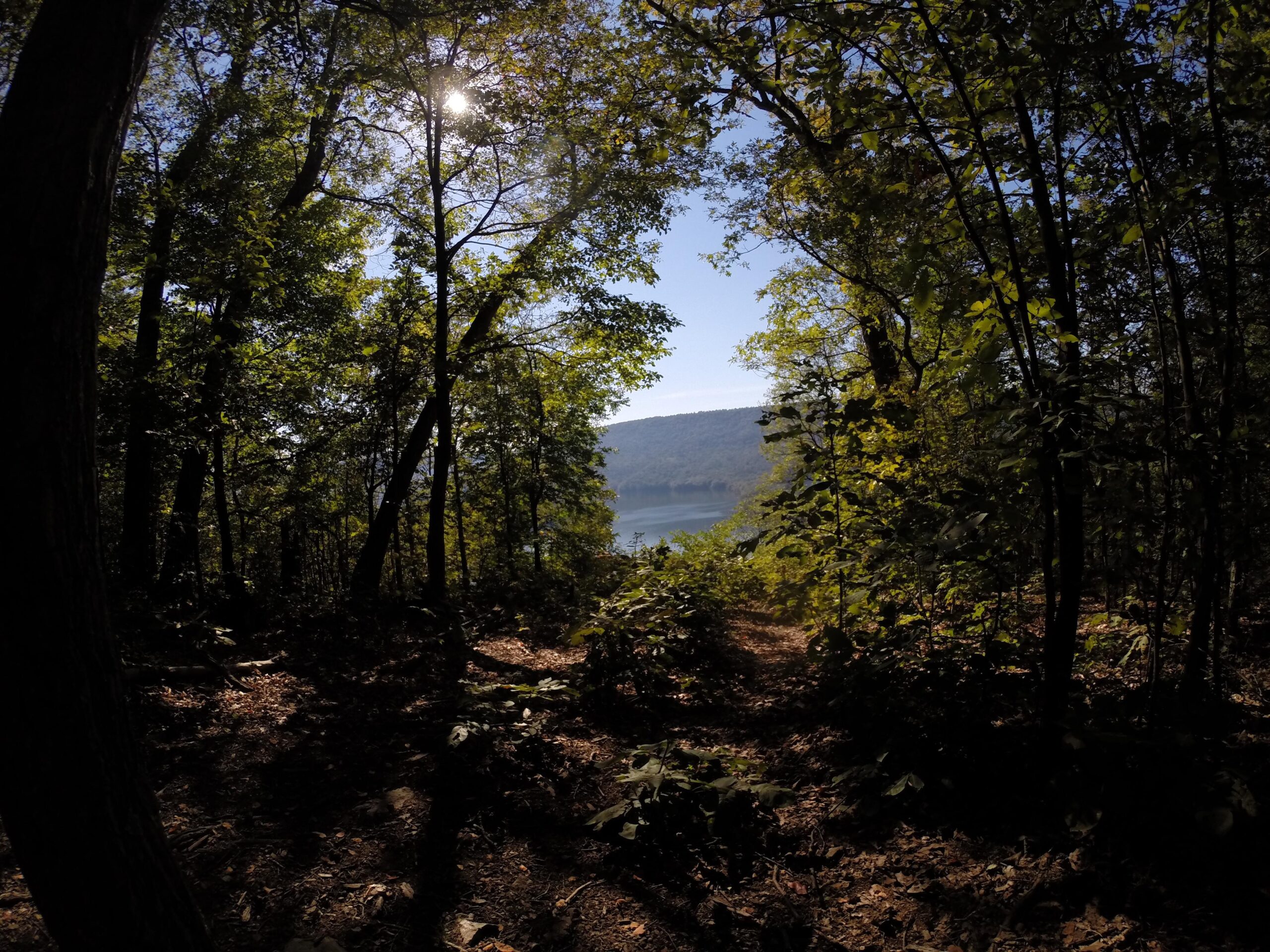 A serene view from within a forest, framed by tall trees. Sunlight filters through the leaves, illuminating a peaceful river and distant hills visible in the background. The forest floor is covered with fallen leaves and greenery, creating a natural pathway leading toward the water. Allegrippis Trails mountain bike trail.