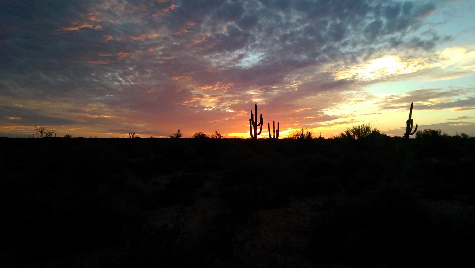 A vibrant sunset over a desert landscape, featuring silhouettes of tall cacti against a colorful sky filled with clouds, transitioning from orange to purple hues. Brown's Ranch to Granite Mountain mountain bike trail.