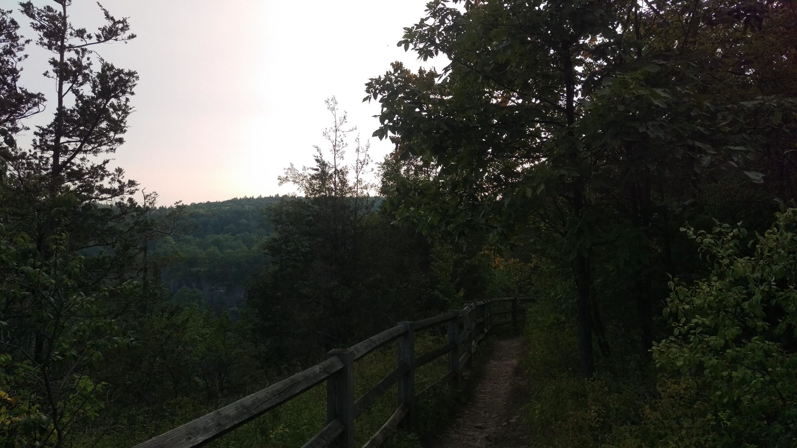 A winding dirt path lined with wooden railings, surrounded by lush greenery and tall trees, leading through a peaceful natural landscape under a pale sky. Thatcher State Park mountain bike trail.