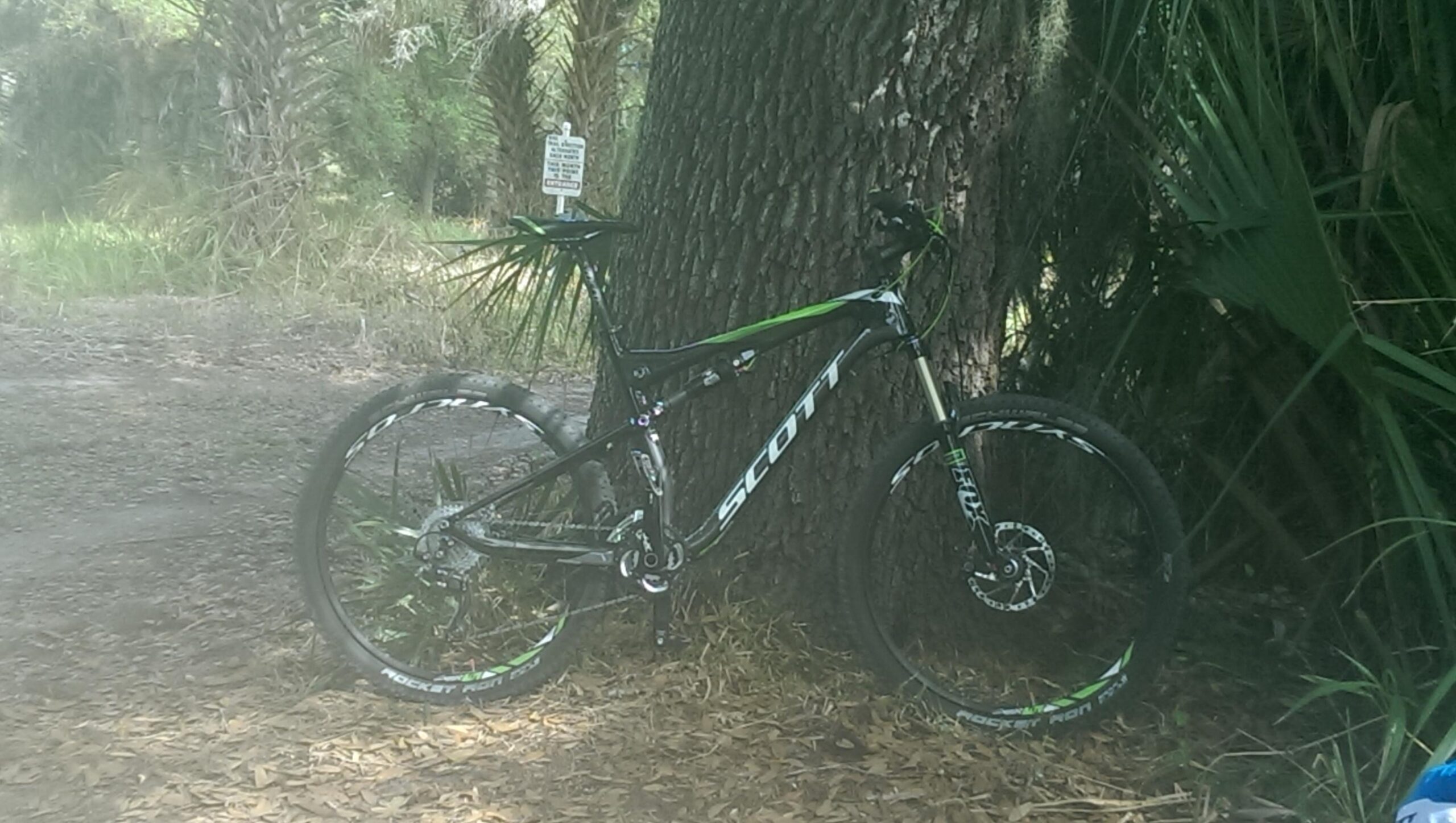 Scott Spark 720: Mountain bike leaning against a tree in a lush, wooded area with green foliage and dirt path.