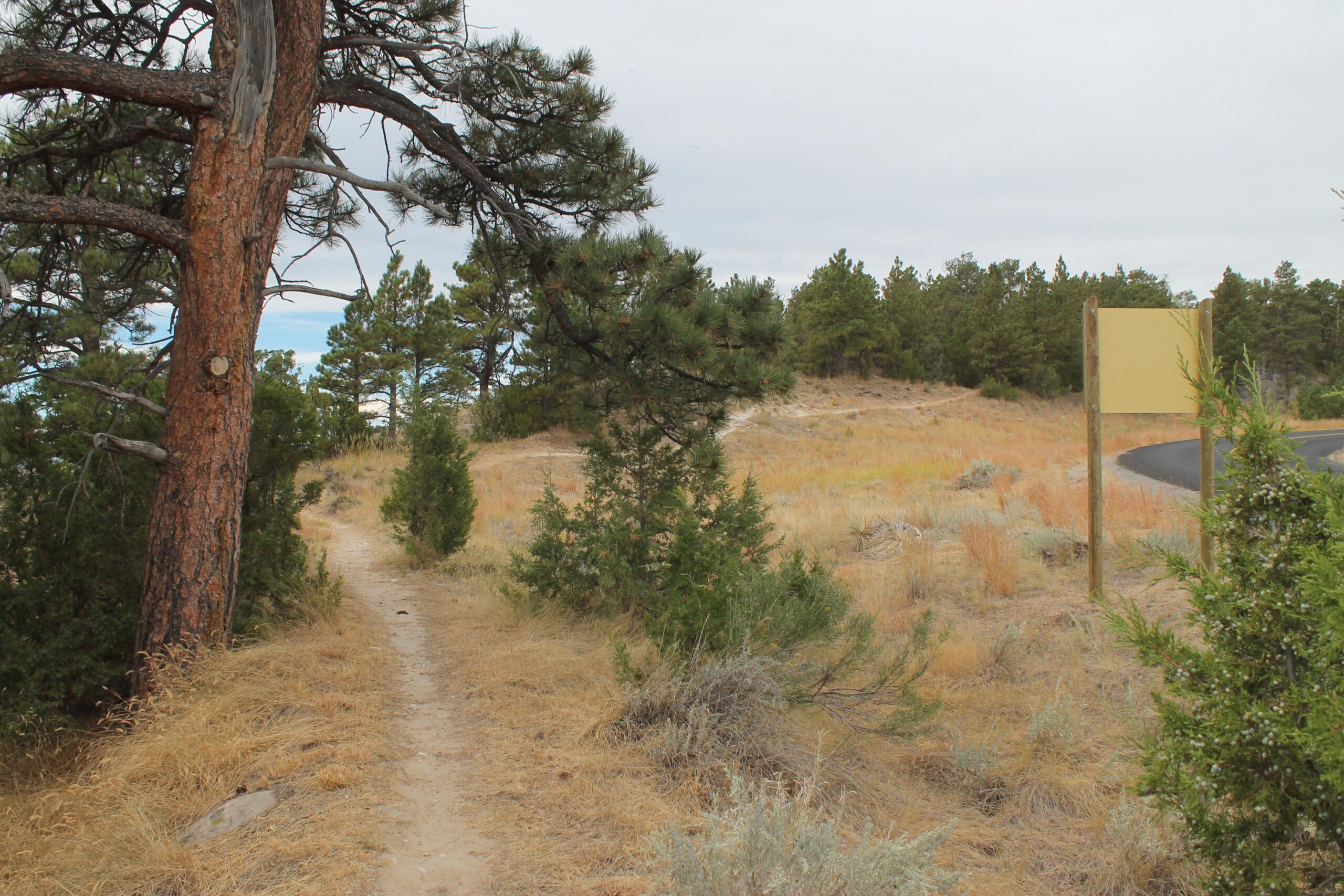 A narrow dirt path surrounded by tall grasses and evergreen trees, leading into a natural landscape. A blank yellow sign stands to the right, with a winding road visible in the background. The sky is overcast, creating a tranquil and subdued atmosphere. Glendo State Park mountain bike trail.