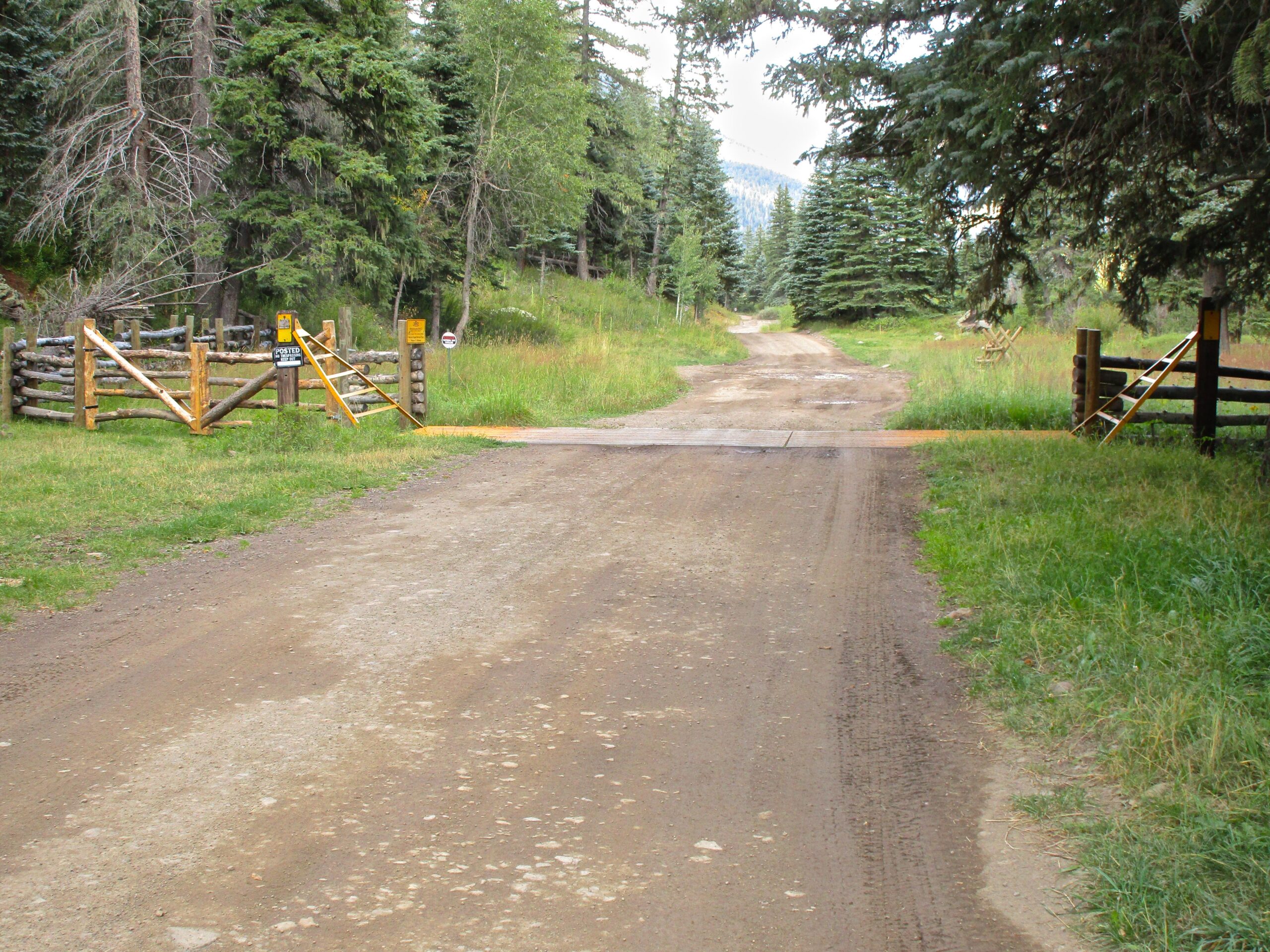 Dirt road leading through a forested area, with wooden gates on either side. The road is lined with green grass and trees, and there are signs near the gates. The scene appears tranquil and is set in a natural outdoor environment. Treasure Mountain Trail mountain bike trail.