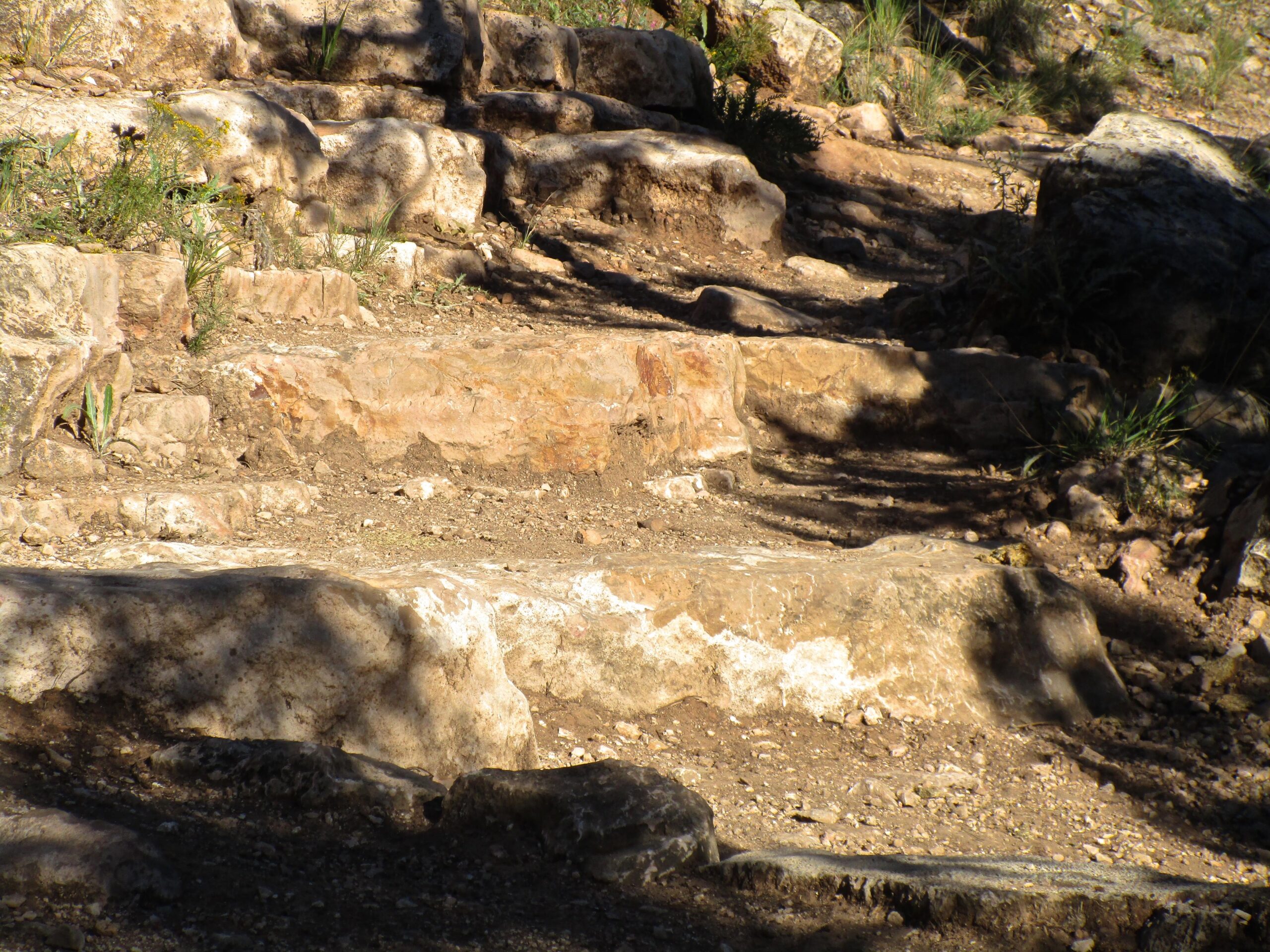 A close-up view of a natural stone path with uneven steps, surrounded by sparse vegetation and sunlight casting shadows on the rocks. The ground is earthy and rugged, indicating a natural outdoor setting. Flagstaff Loop Trail mountain bike trail.