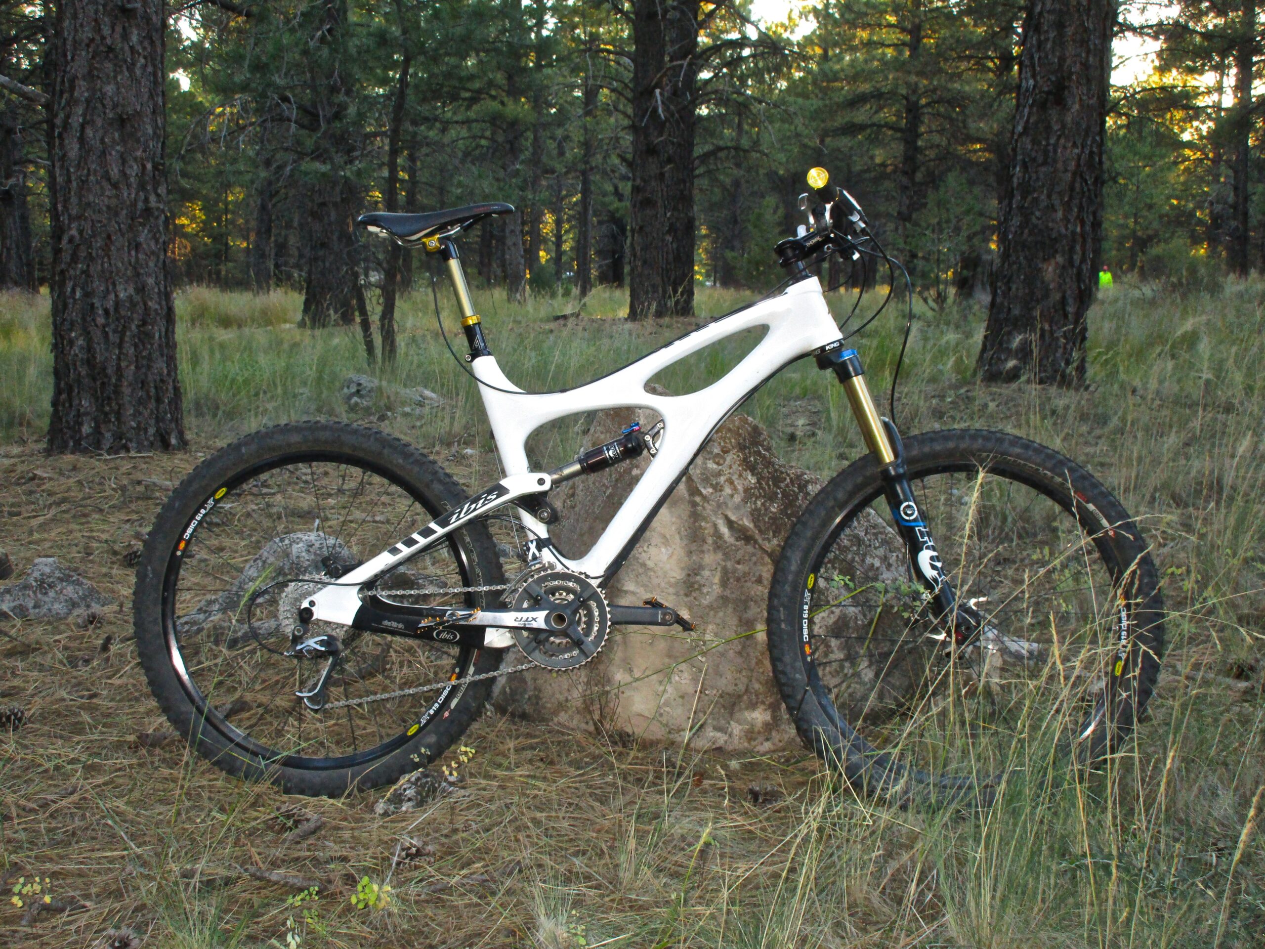 Ibis Mojo HD: A sleek white mountain bike leaned against a large rock, surrounded by tall pine trees and grass in a forested area. The bike features black tires and components, showcasing a modern design suitable for off-road cycling.