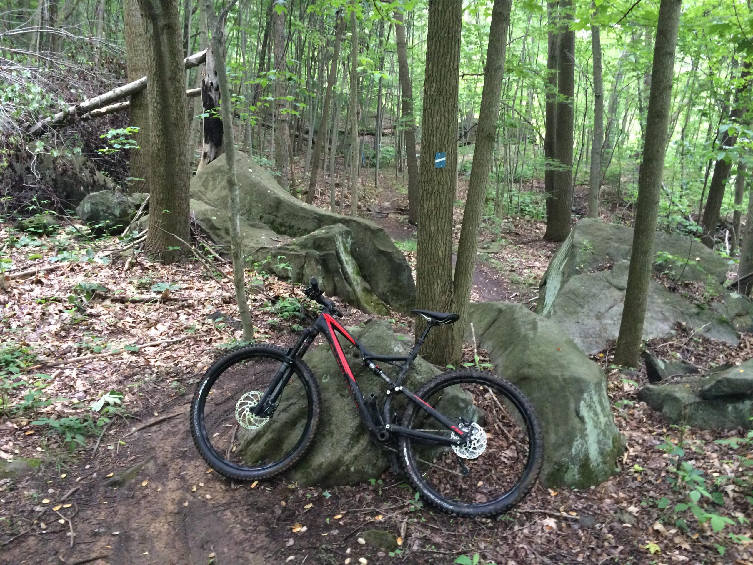 A mountain bike rests on a rocky path surrounded by dense green foliage and trees in a forested area. Large boulders and scattered leaves are visible on the ground, indicating a natural trail environment. Roaring Run mountain bike trail.
