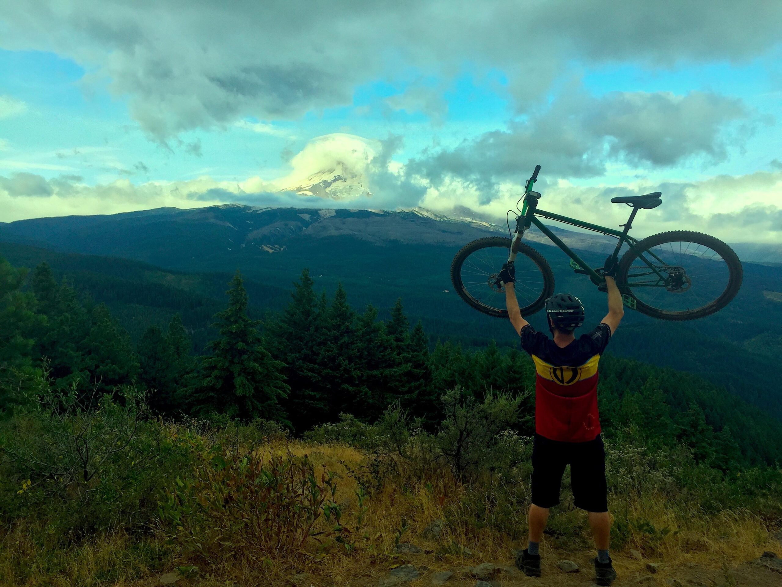 Reeb REEBdikeylous: A mountain biker stands triumphantly at the edge of a viewpoint, raising their bike above their head. The scene showcases a vast landscape of forests and mountains under a cloudy sky, with a prominent snow-capped peak in the distance.