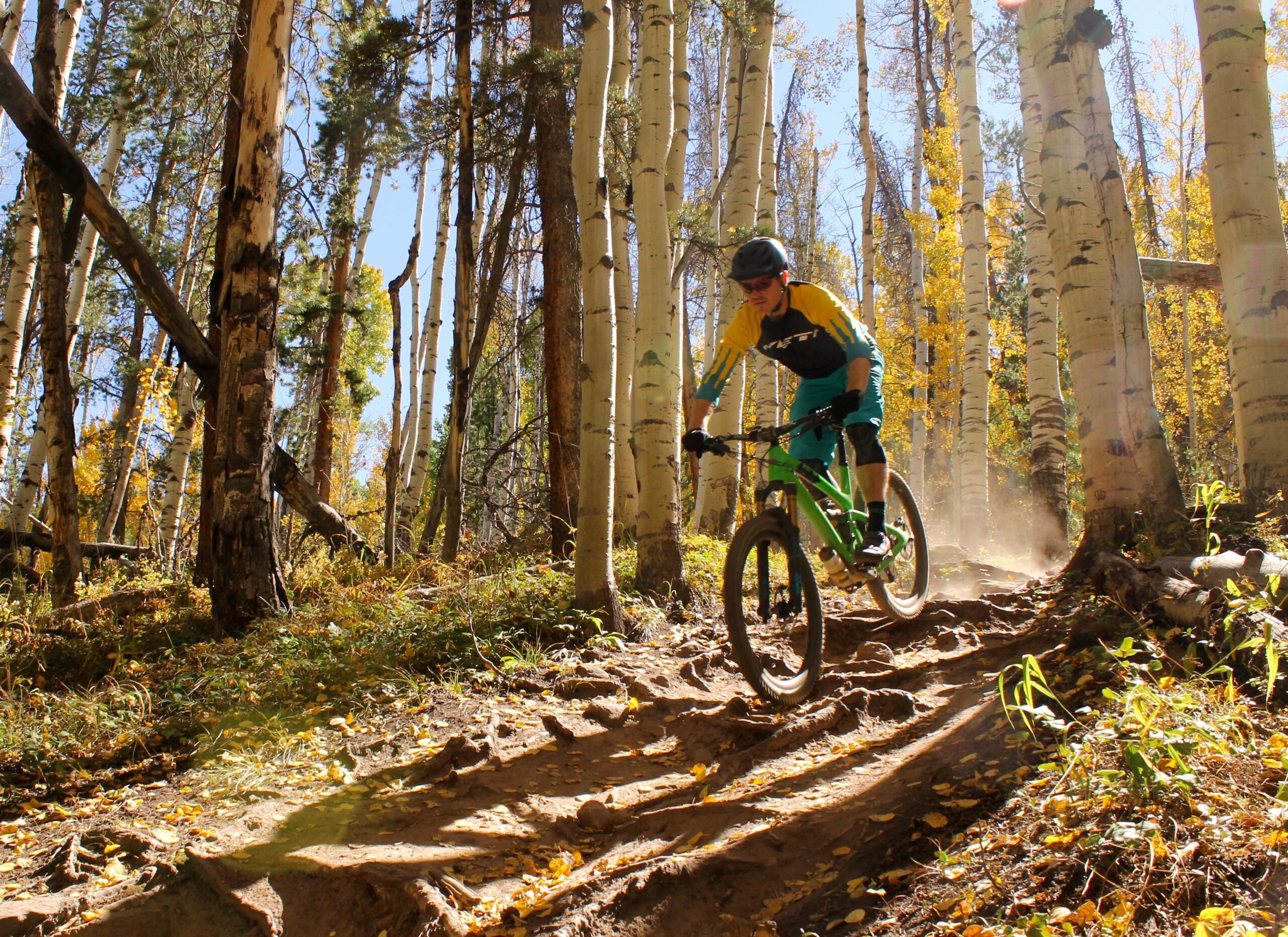 A mountain biker riding downhill on a dirt trail through a forest of tall trees with golden leaves, creating a cloud of dust. The bright blue sky is visible among the trees, enhancing the vibrant autumn scenery. Vail Mountain Bike Park mountain bike trail.