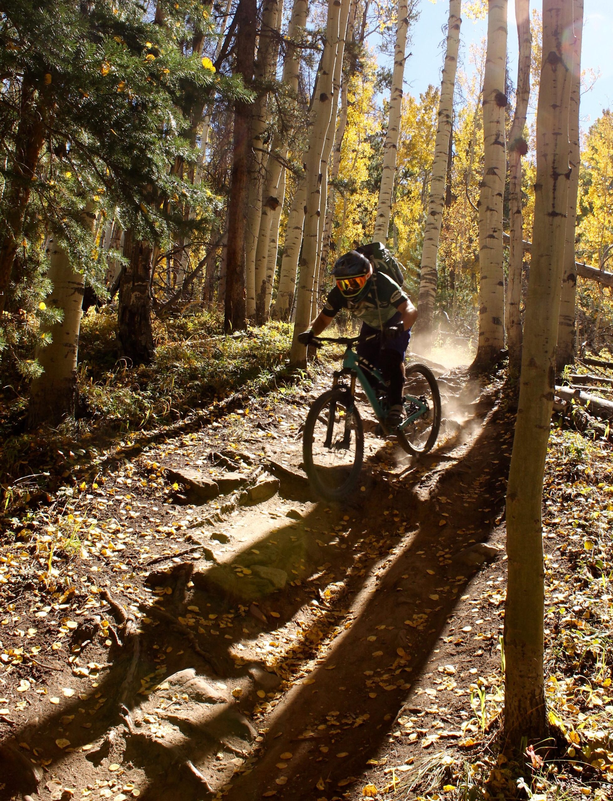 A mountain biker navigates a dirt trail surrounded by tall trees, with autumn leaves scattered on the ground. Sunlight filters through the trees, creating a dynamic atmosphere as dust rises from the bike's tires. The rider is wearing protective gear and appears focused on the path ahead. Vail Mountain Bike Park mountain bike trail.