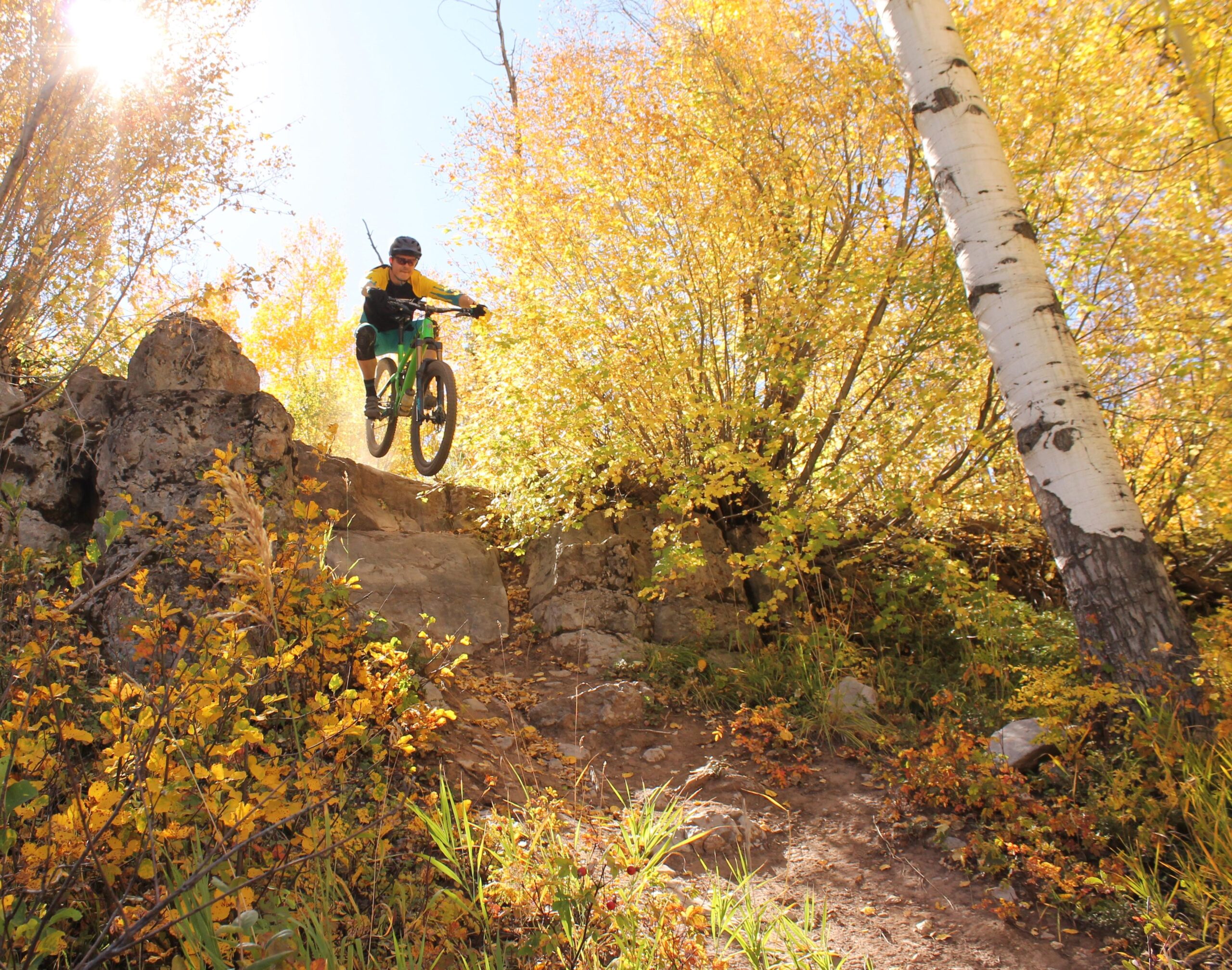 A mountain biker in motion, leaping off a rocky ledge surrounded by vibrant autumn foliage, with sunlight filtering through the trees. Vail Mountain Bike Park mountain bike trail.