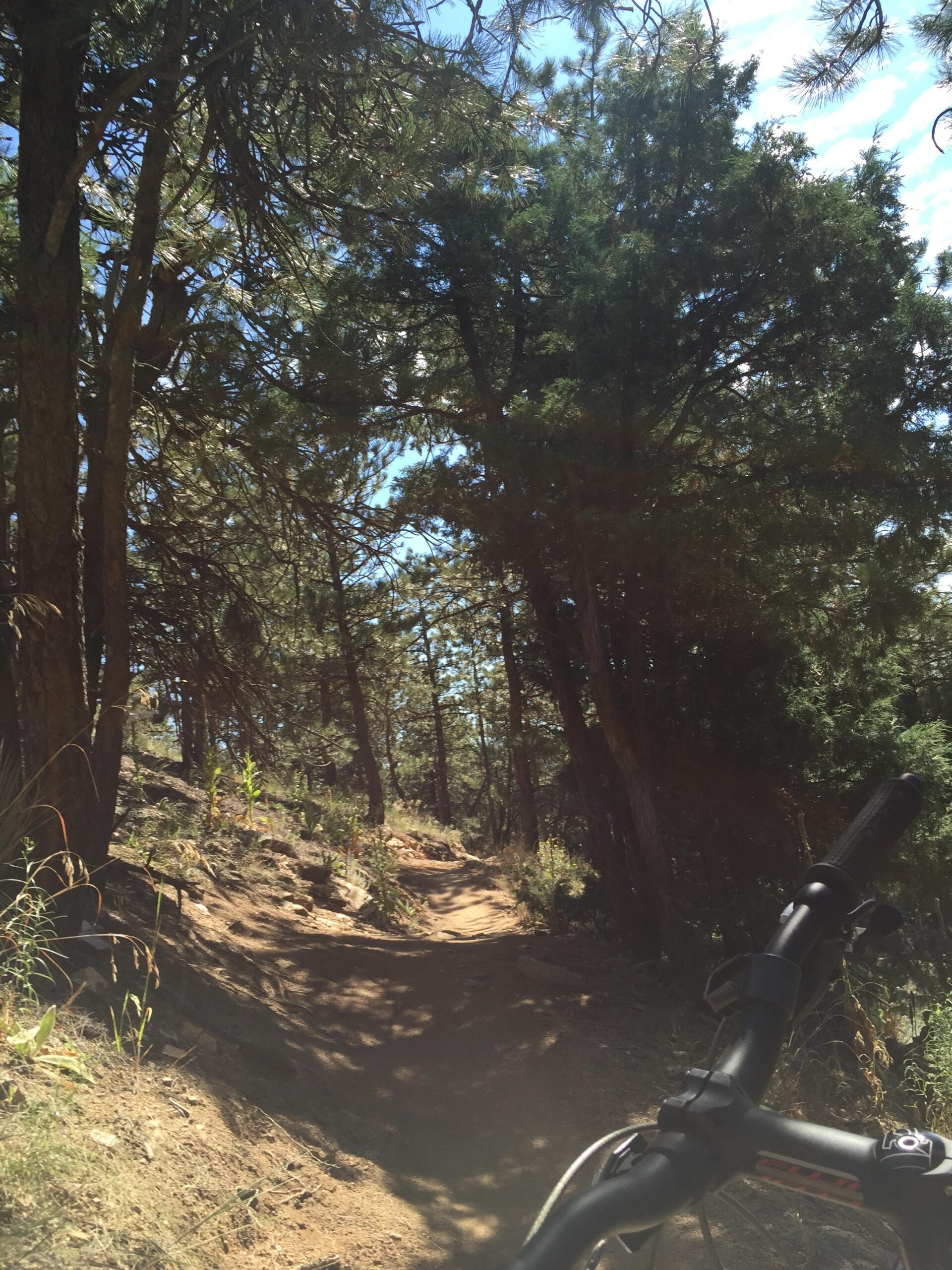 A winding dirt trail surrounded by tall trees and greenery, with a bicycle handlebar in the foreground. The sunlight filters through the branches, creating a bright and inviting atmosphere for outdoor exploration. Betasso Preserve mountain bike trail.