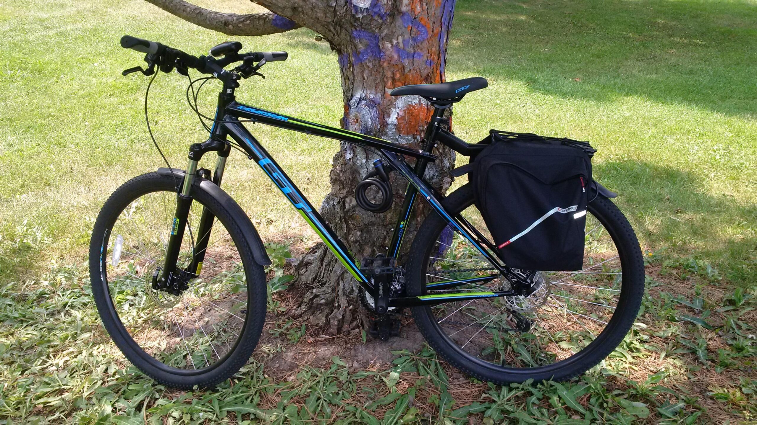 GT Karakoram Sport 2015: A black mountain bike with blue and green accents is leaning against a tree. The bike features a side bag attached to its rear. In the background, there is a grassy area, with a tree trunk that has some purple markings.