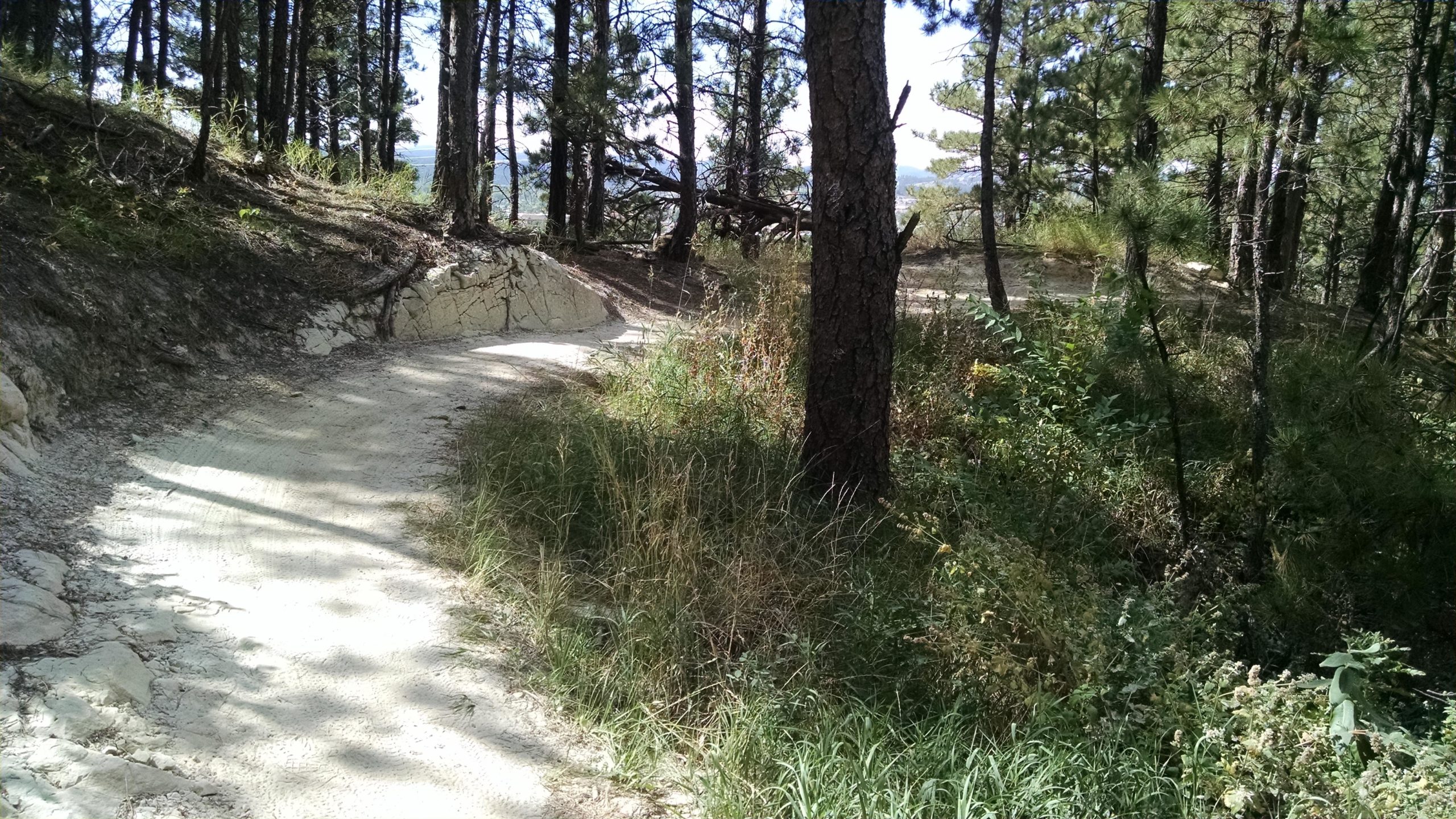 A winding dirt path through a forested area surrounded by tall trees and green foliage. The path is partially shaded and leads into the distance, with sunlight filtering through the branches above. HLMP mountain bike trail.