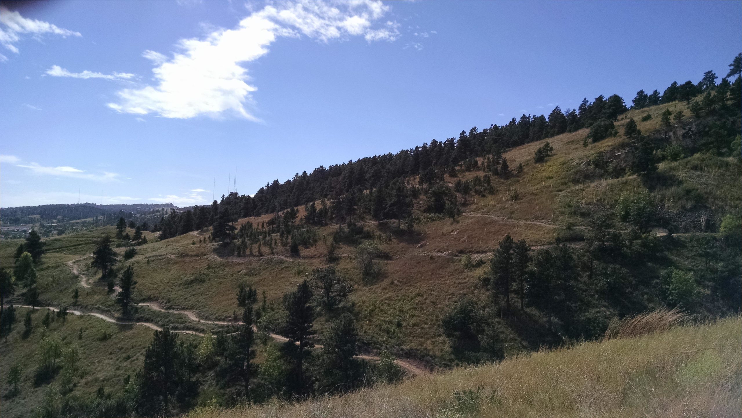 A scenic view of a hilly landscape featuring a mix of grassy fields and trees under a clear blue sky with scattered clouds. A winding path can be seen traversing the hillside, leading through the greenery. HLMP mountain bike trail.