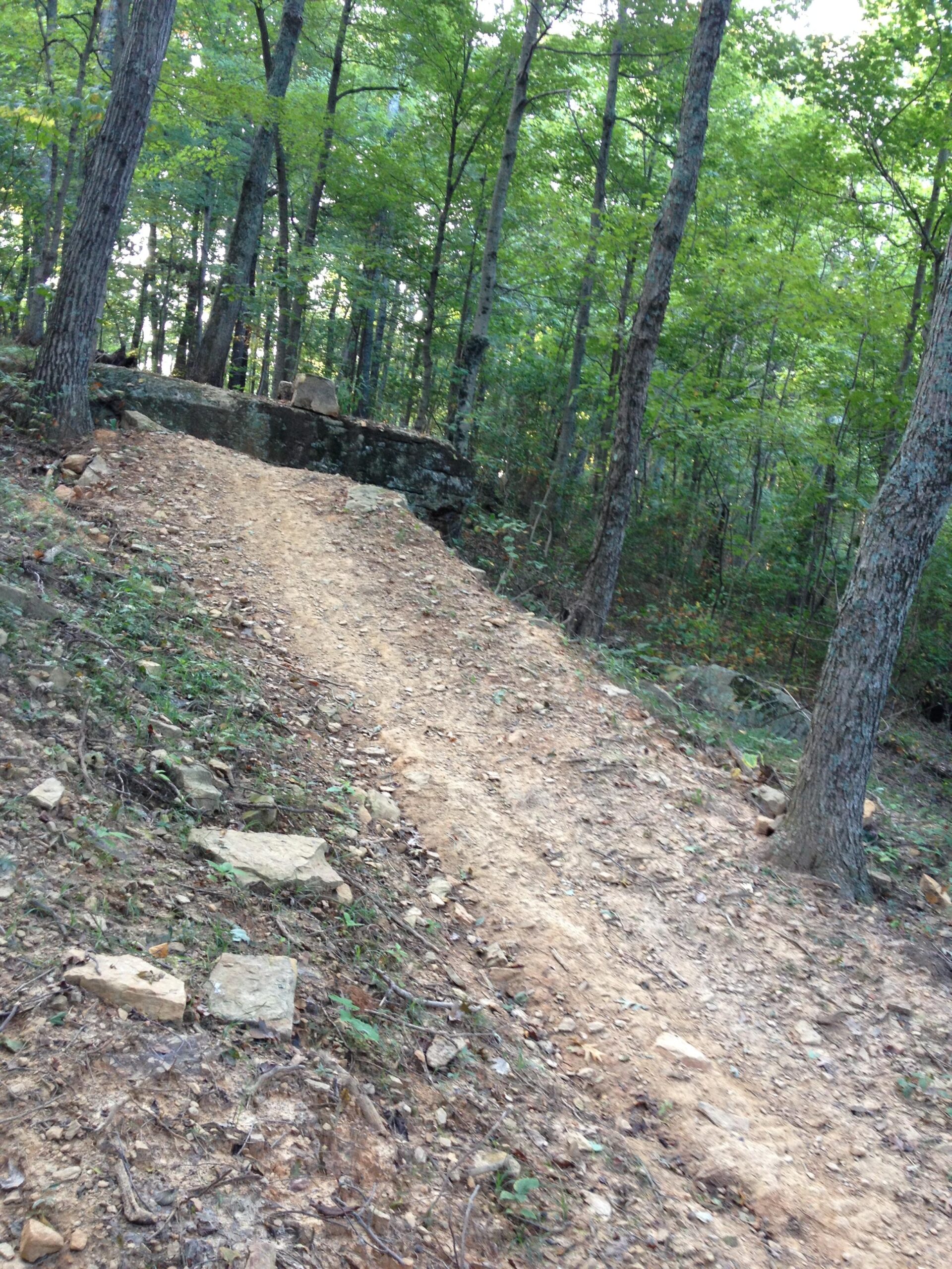 A dirt trail winding through a forest, surrounded by tall trees with lush green foliage. The path is uneven and has scattered rocks along the sides, leading to a rocky outcrop visible in the background. The scene is bright and inviting, suggesting a tranquil outdoor setting ideal for hiking or nature walks. O'bannon Woods mountain bike trail.