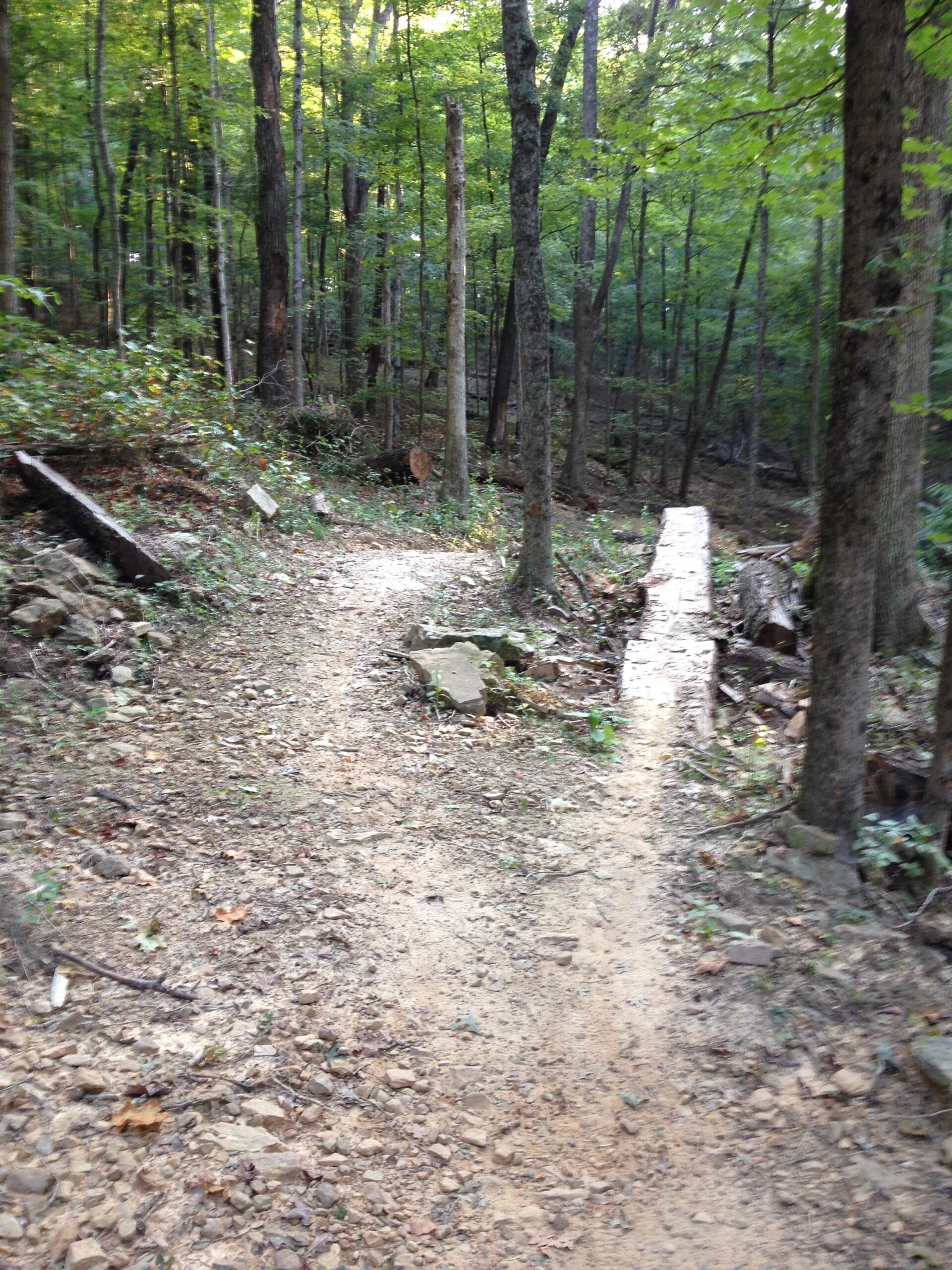 A winding dirt trail through a dense forest, flanked by trees and scattered boulders. A wooden bridge crosses a small ravine, inviting hikers to continue their journey deeper into the greenery. Sunlight filters through the leaves, creating a peaceful and natural atmosphere. O'bannon Woods mountain bike trail.