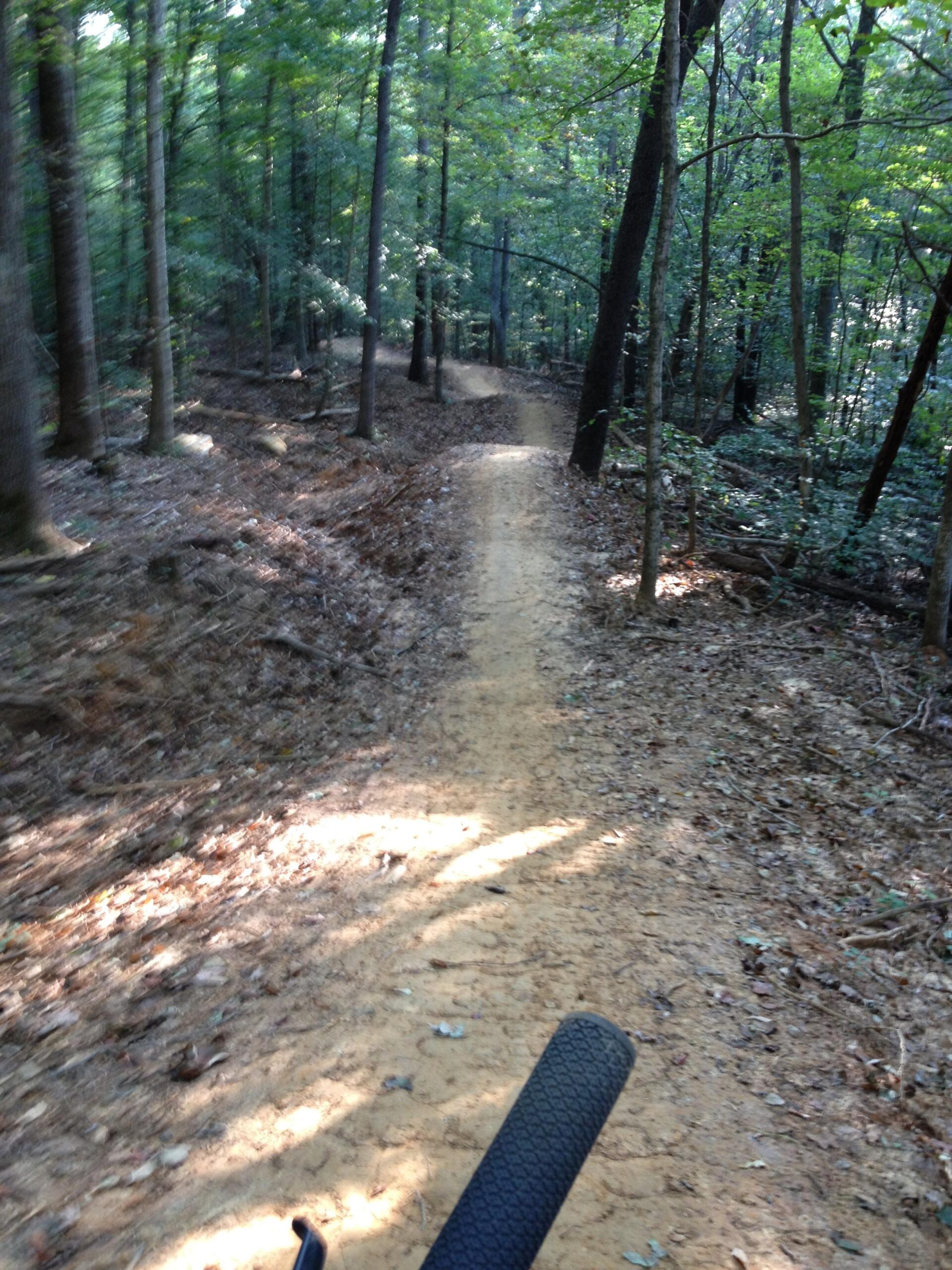 A winding dirt trail through a lush forest, surrounded by tall trees and dappled sunlight filtering through the leaves. The foreground shows a partial view of a bicycle handlebar, suggesting an outdoor cycling experience on the trail. O'bannon Woods mountain bike trail.