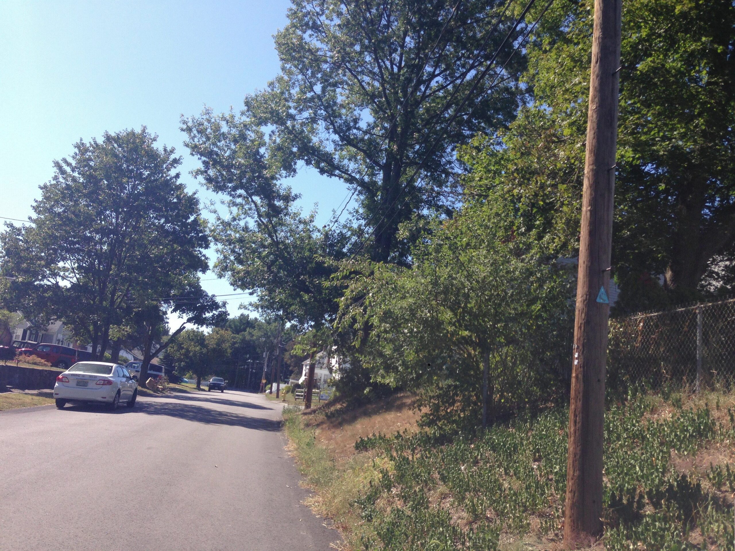 A quiet residential street lined with trees, utility poles, and parked cars under a clear blue sky. The road is flanked by grassy areas and houses in the distance. Cutler Park mountain bike trail.