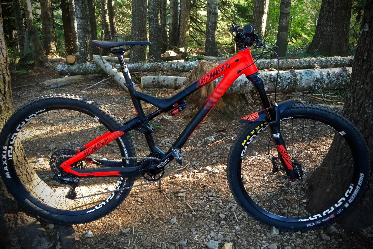 A mountain bike with a black and orange frame is leaning against a tree in a forested area. The bike is equipped with thick tires suitable for off-road terrain and has visible branding on its frame. Sunlight filters through the trees, highlighting the natural surroundings.