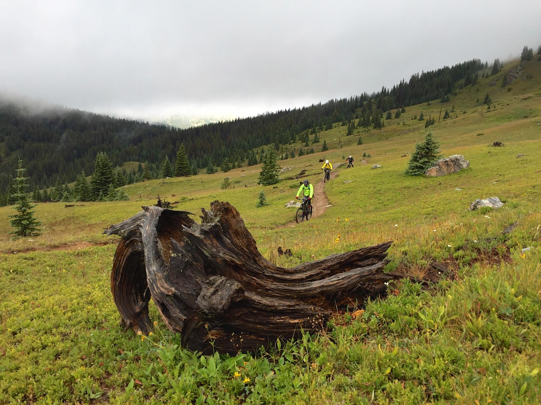 Mountain bikers riding along a winding trail through a green meadow, with a large, weathered log in the foreground and misty mountains in the background. The scene captures a tranquil and natural landscape, featuring patches of trees and low-lying clouds. Monarch Crest Trail mountain bike trail.