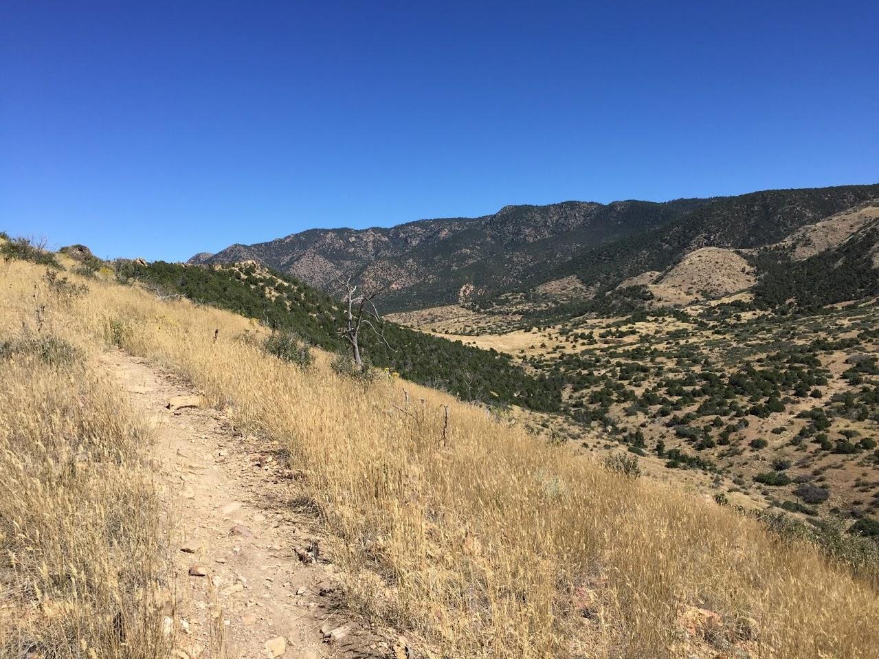A winding dirt path stretches through tall, golden grasses on a hillside, leading towards distant mountains under a clear blue sky. The landscape features rolling hills with patches of greenery and dry terrain. Oil Well Flats mountain bike trail.