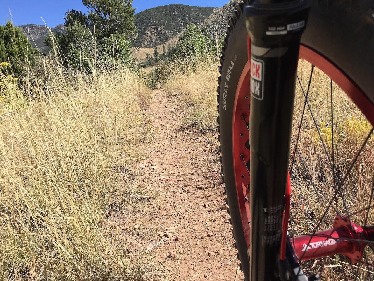 A view of a dirt biking trail surrounded by tall grass and trees, with the front wheel of a bike in the foreground. The trail winds into the distance, leading through a natural landscape with mountains visible in the background under a clear blue sky. Oil Well Flats mountain bike trail.