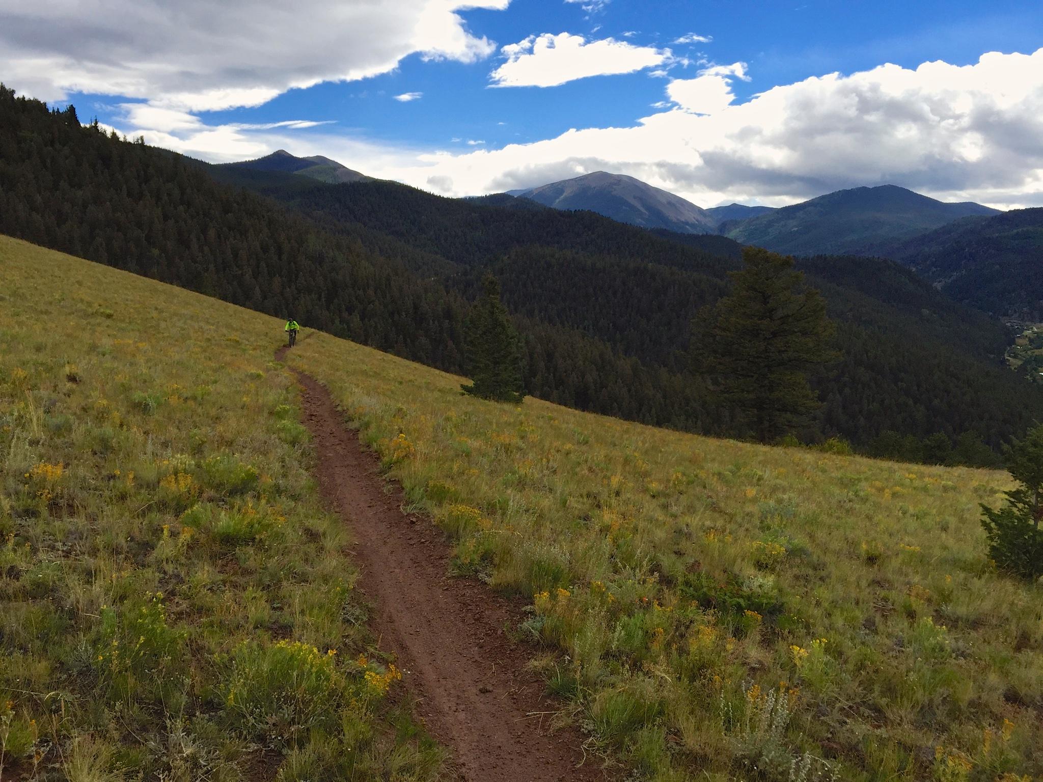 A scenic view of a mountain trail winding through a grassy hillside, with a lone cyclist in a bright green outfit riding along the path. The background features dense forests and towering mountains under a partly cloudy sky, showcasing a beautiful landscape. Wildflowers dot the foreground, adding color to the natural setting. Monarch Crest Trail mountain bike trail.
