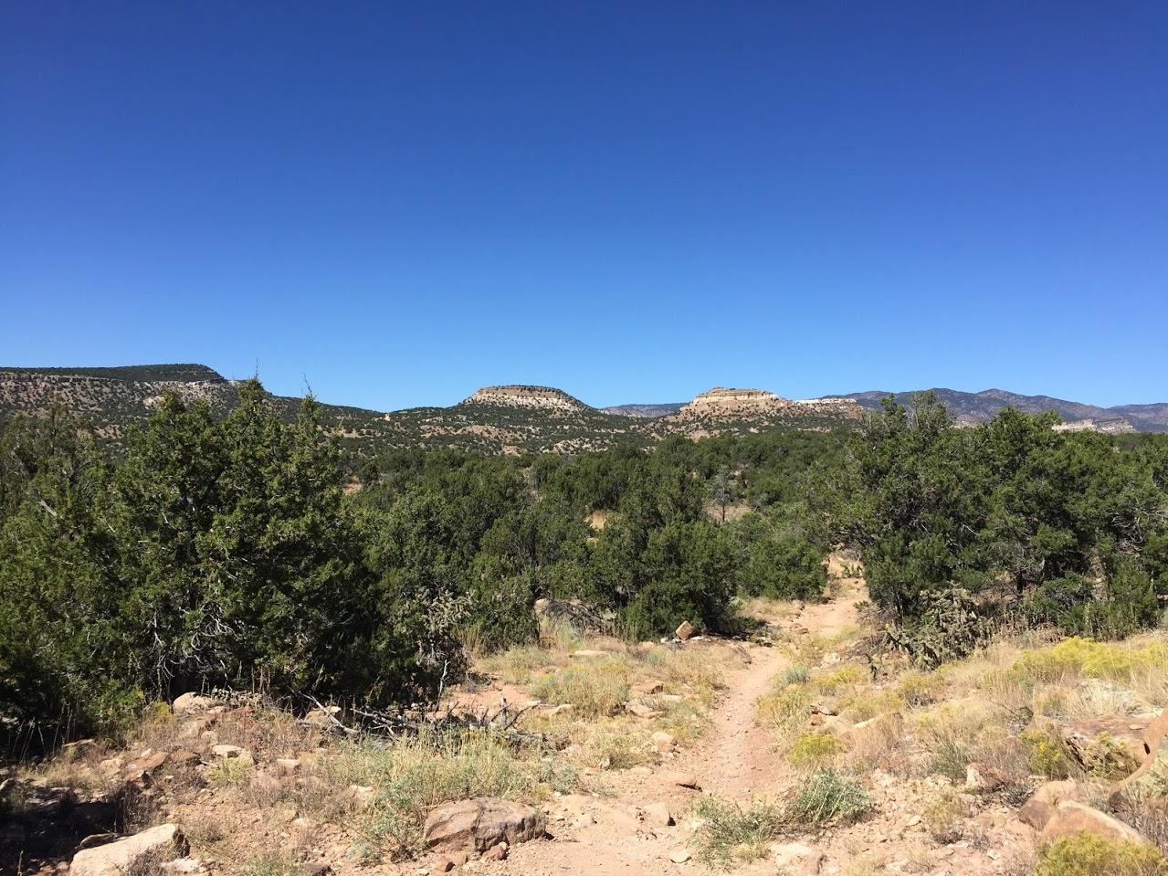 A scenic landscape featuring a dirt path winding through green vegetation, with rolling hills and mesas in the background under a clear blue sky. Oil Well Flats mountain bike trail.