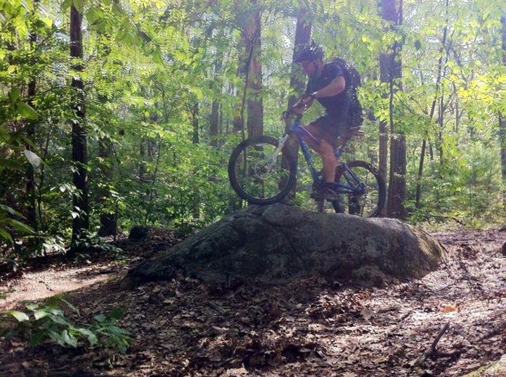 A mountain biker navigating a rocky outcrop in a lush forest, surrounded by green foliage and sunlight filtering through the trees. The cyclist, wearing a helmet and casual gear, balances on the rock while showcasing their biking skills. Landlocked Forest mountain bike trail.