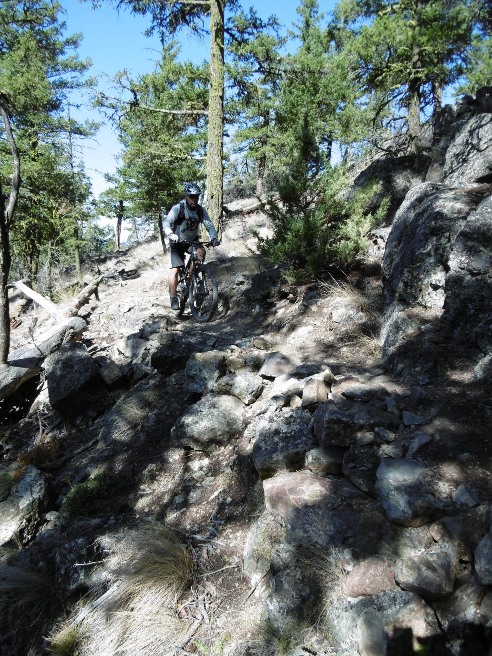 A mountain biker navigating a rocky trail surrounded by trees on a sunny day. Pineview mountain bike trail.