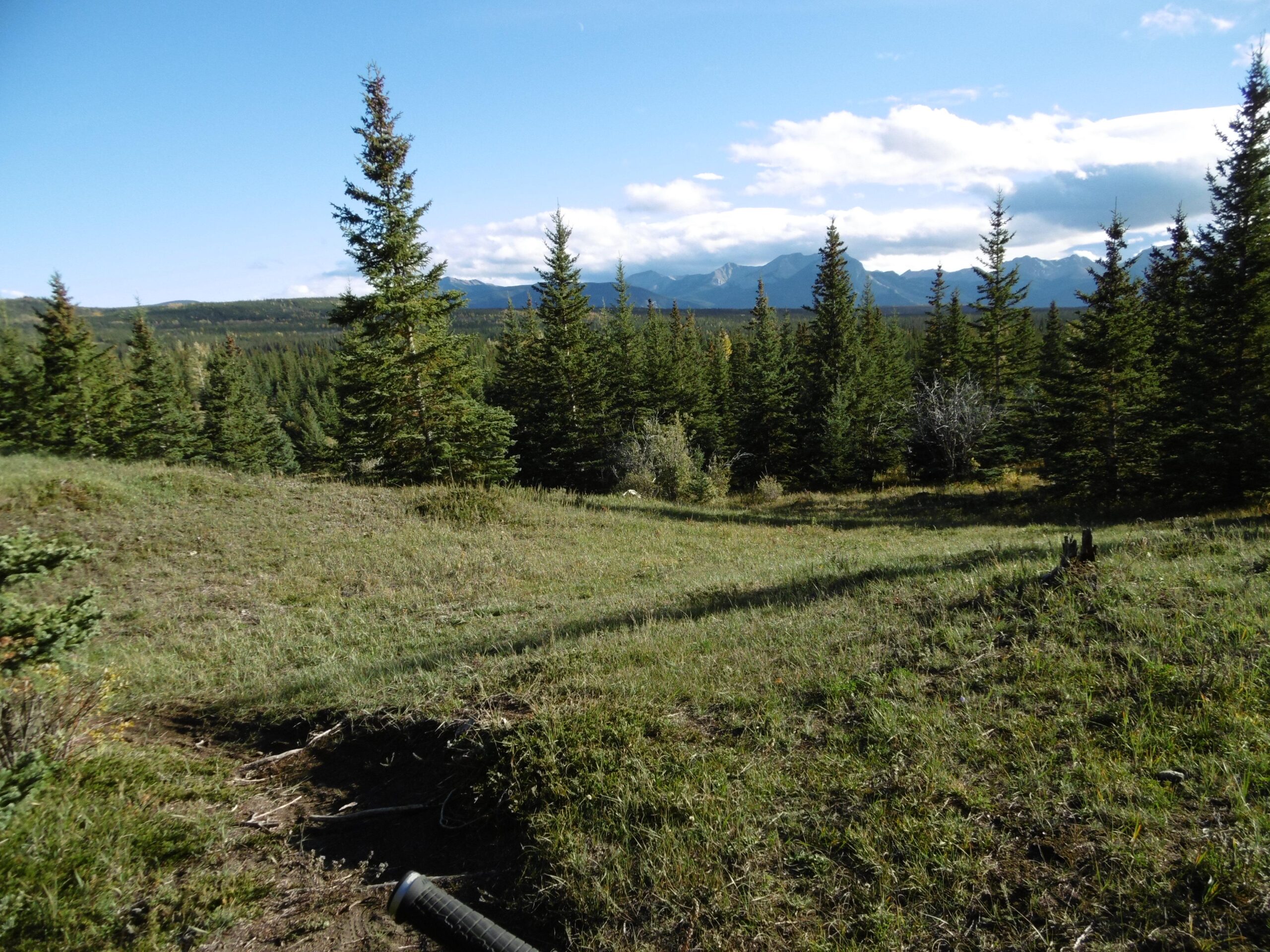 A scenic landscape featuring a grassy area with scattered pine trees, leading to a distant range of mountains under a partly cloudy sky. The foreground shows a slight incline with uneven terrain, while the background reveals a vast expanse of forested hills. Grip and Rip mountain bike trail.