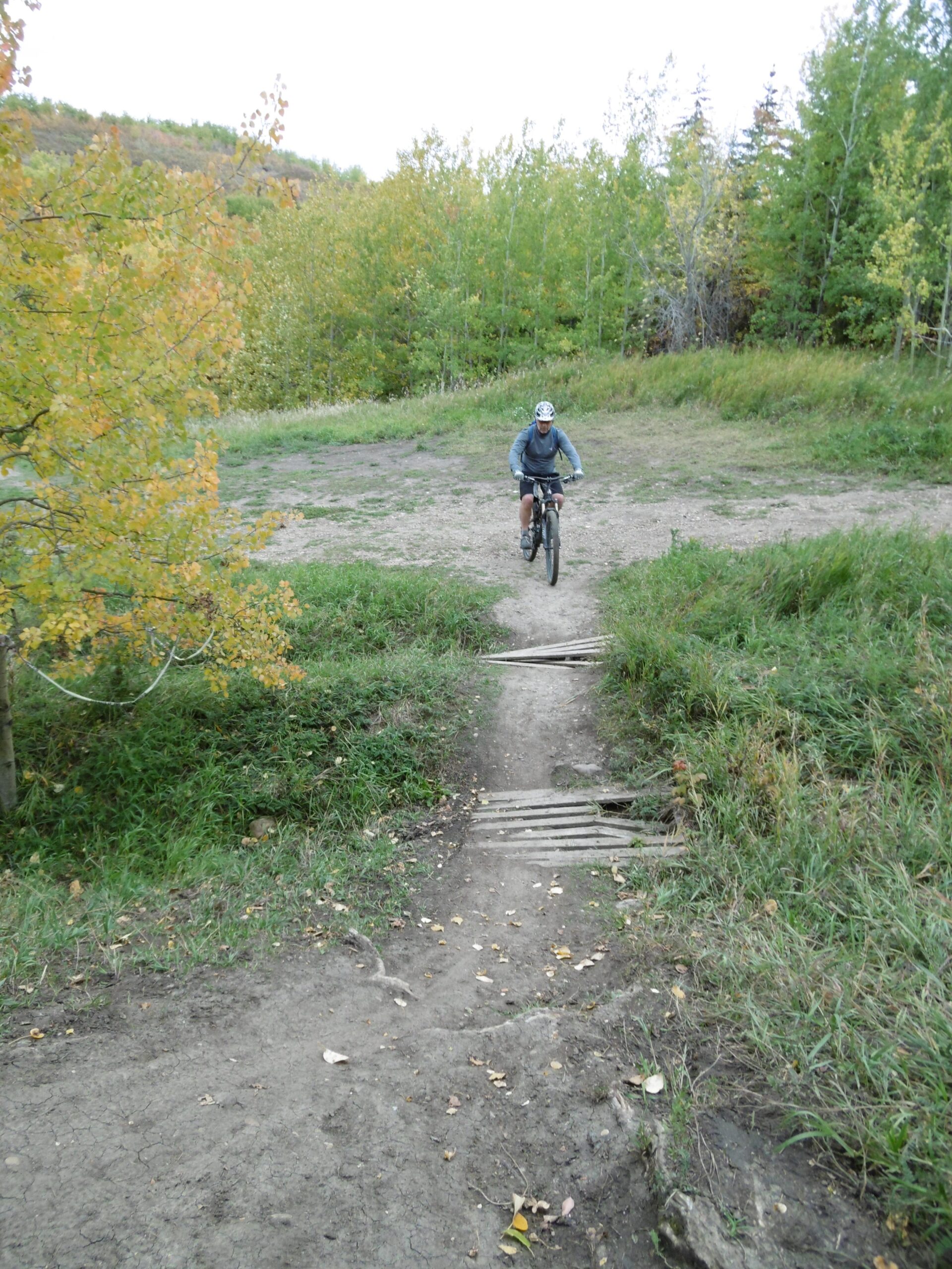 A mountain biker navigating a dirt trail surrounded by greenery and autumn-colored trees, approaching a wooden bridge. The scene captures the outdoors in a rural setting, showcasing the vibrant colors of fall foliage. Strathcona Science Park mountain bike trail.