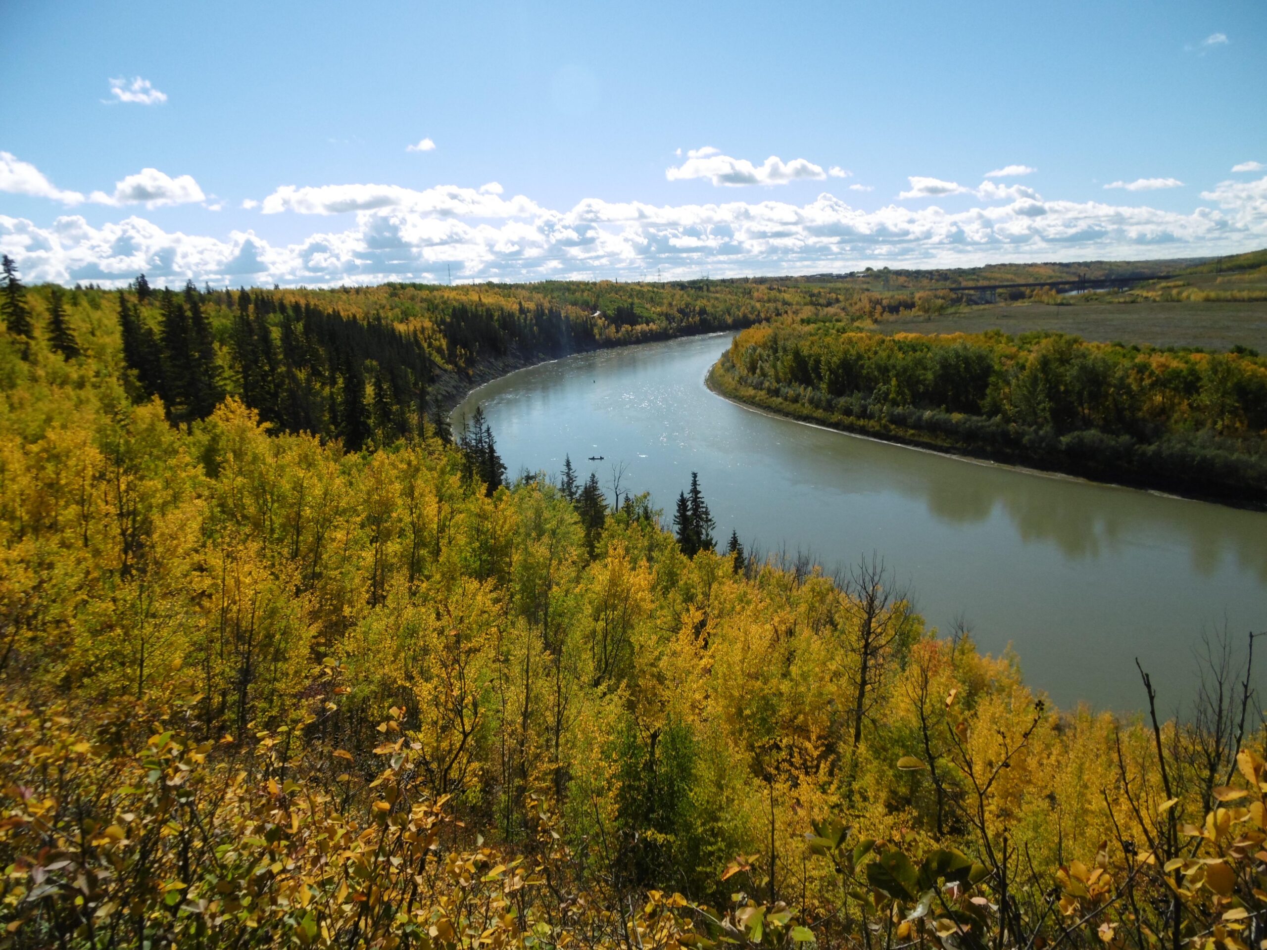 A tranquil river winds through a landscape adorned with vibrant fall foliage, showcasing shades of yellow and green. Lush trees line the riverbanks under a bright blue sky dotted with fluffy white clouds. The scene captures the beauty of nature in autumn. Terwillegar Park mountain bike trail.
