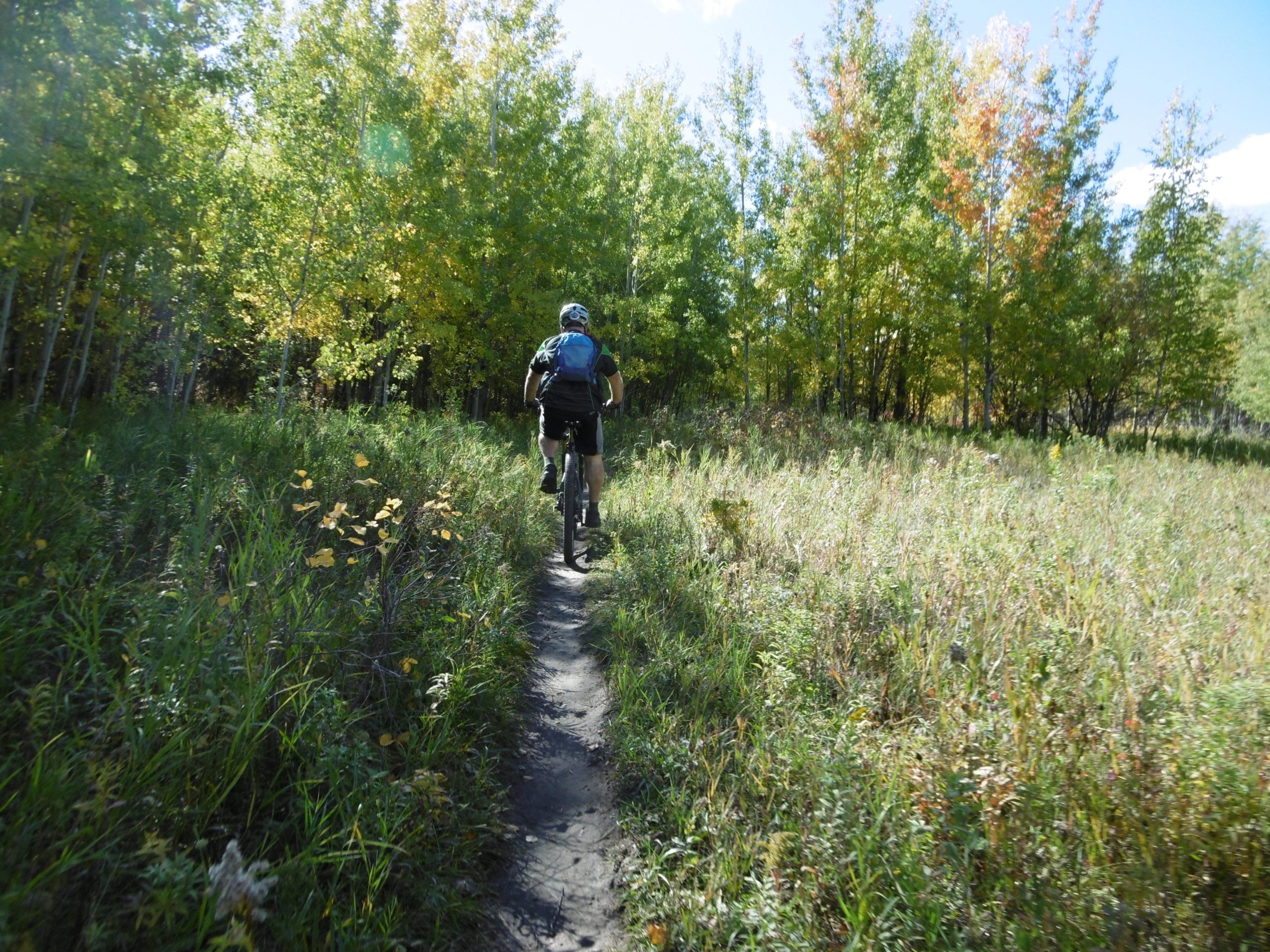 A person riding a mountain bike on a narrow dirt path surrounded by lush green grass and trees, with hints of autumn colors in the foliage. The scene is set in a sunny, outdoor environment. Terwillegar Park mountain bike trail.