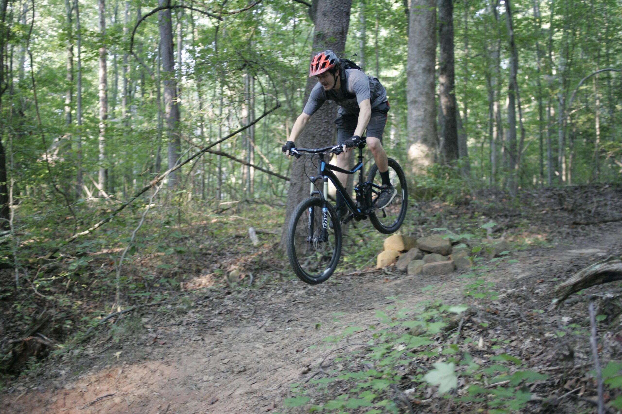 A person in a gray t-shirt and helmet is riding a mountain bike off a small jump in a wooded area. The biker is airborne, with trees and foliage in the background, highlighting a dynamic moment of off-road cycling. Salem Lake mountain bike trail.