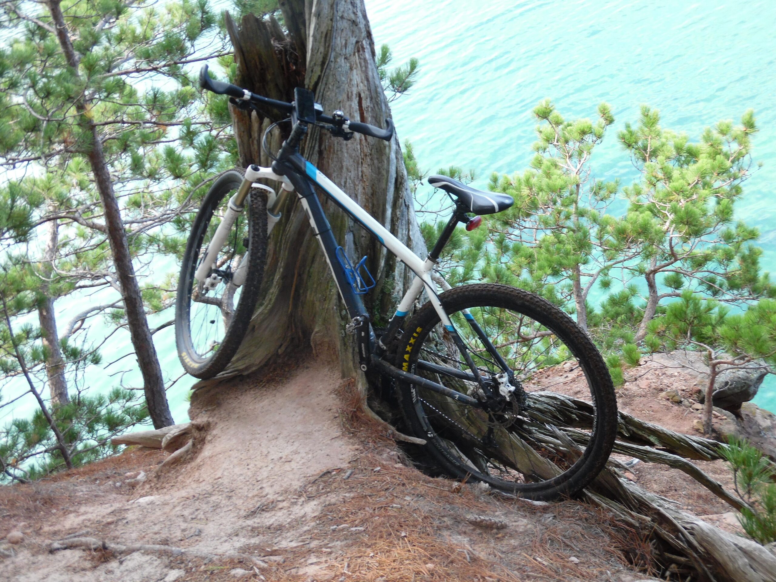 A mountain bike leaning against a tree at the edge of a body of water, surrounded by green foliage and pine trees. The surface is dusty and slightly rocky, suggesting a natural trail setting.
