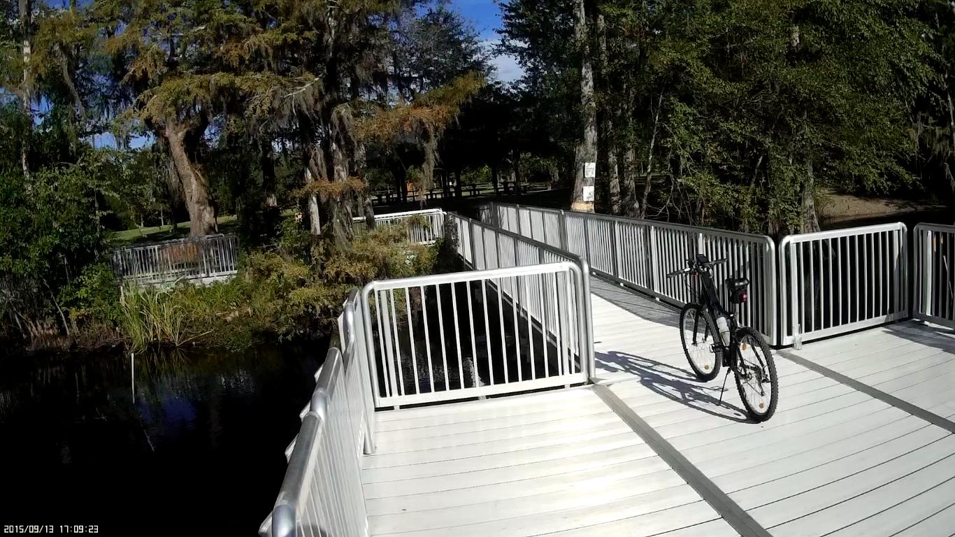 A bicycle parked on a wooden walkway surrounded by lush greenery and water. The walkway features white railings and is illuminated by sunlight, creating a peaceful outdoor setting. Jackson Bluff Trail System mountain bike trail.
