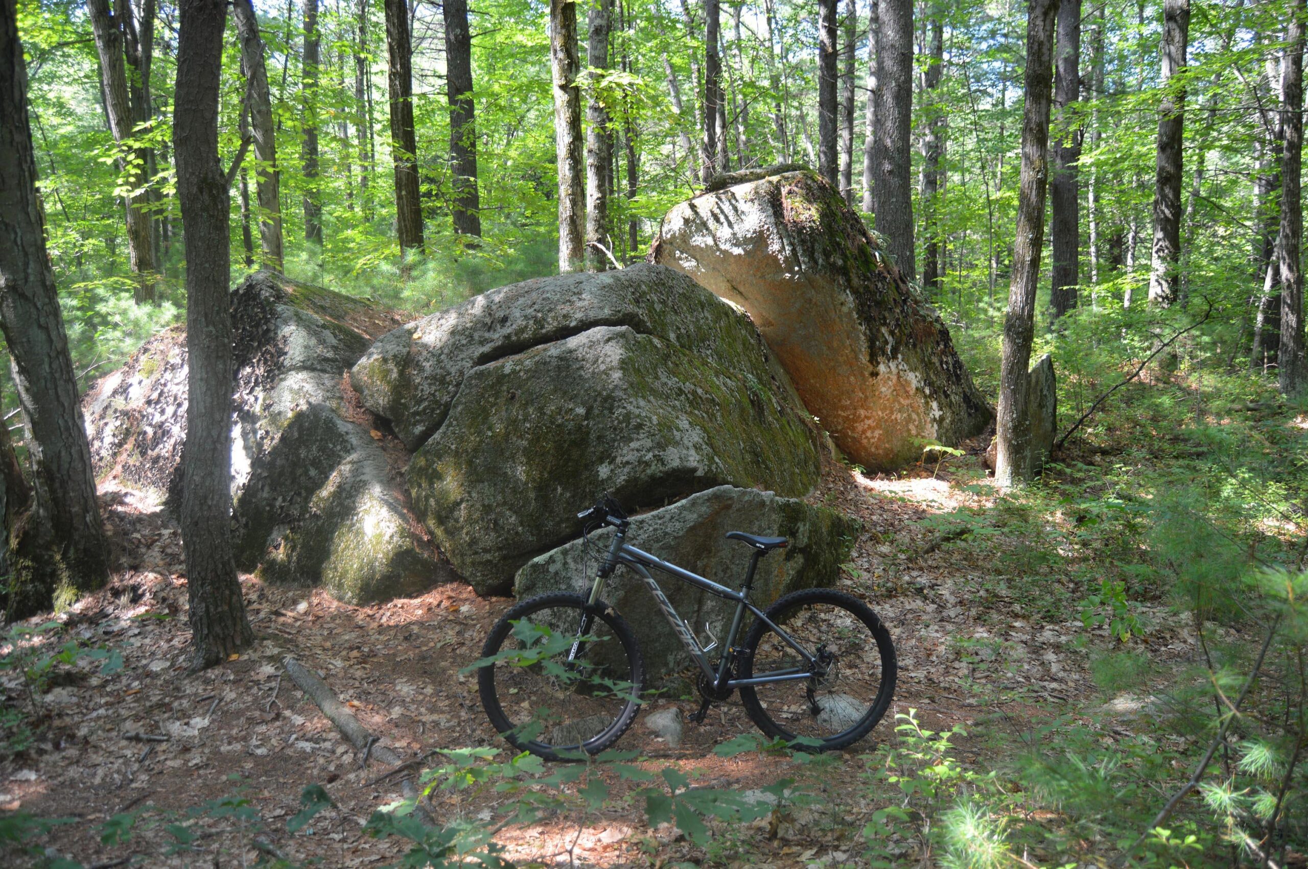 Fezzari Lone Peak: A mountain bike rests on a forest trail surrounded by large rocks and tall trees, with sunlight filtering through the leaves. The ground is covered with fallen leaves and scattered greenery, creating a serene natural setting.