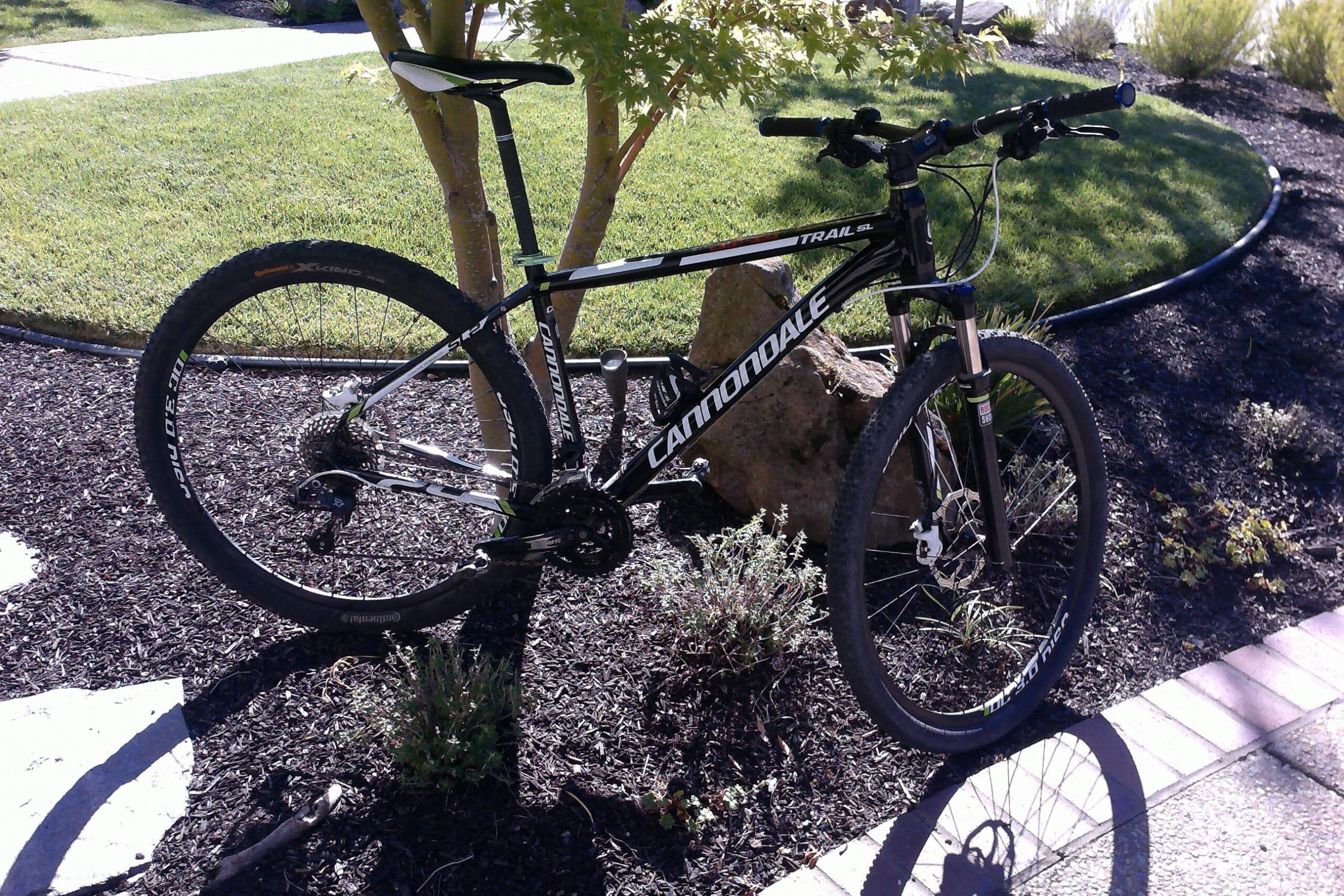 Cannondale Trail SL 29 2: A black Cannondale mountain bike leaning against a small tree, with rubber tires and a visible gear setup, surrounded by decorative rocks and mulch in a garden setting. The background features well-maintained grass and plants.