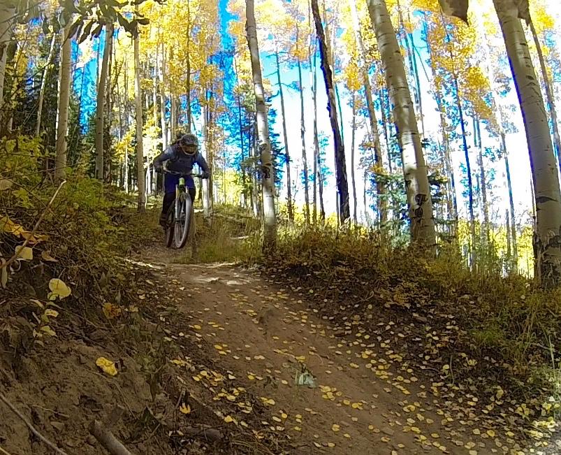 A mountain biker jumps over a dirt trail surrounded by tall trees with vibrant autumn foliage. The scene captures the excitement of the ride, with fallen leaves scattered on the ground and a clear blue sky visible through the trees. Vail Mountain Bike Park mountain bike trail.